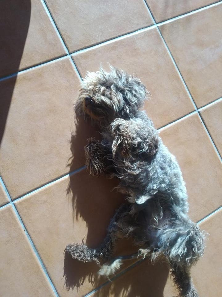 Photo 39