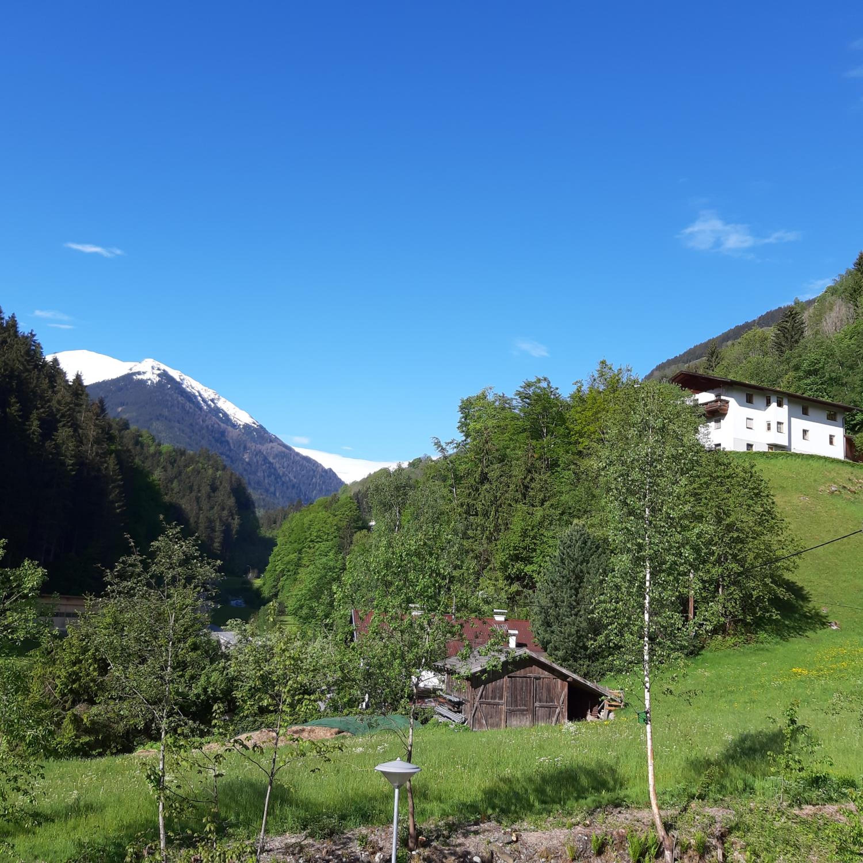Photo 21