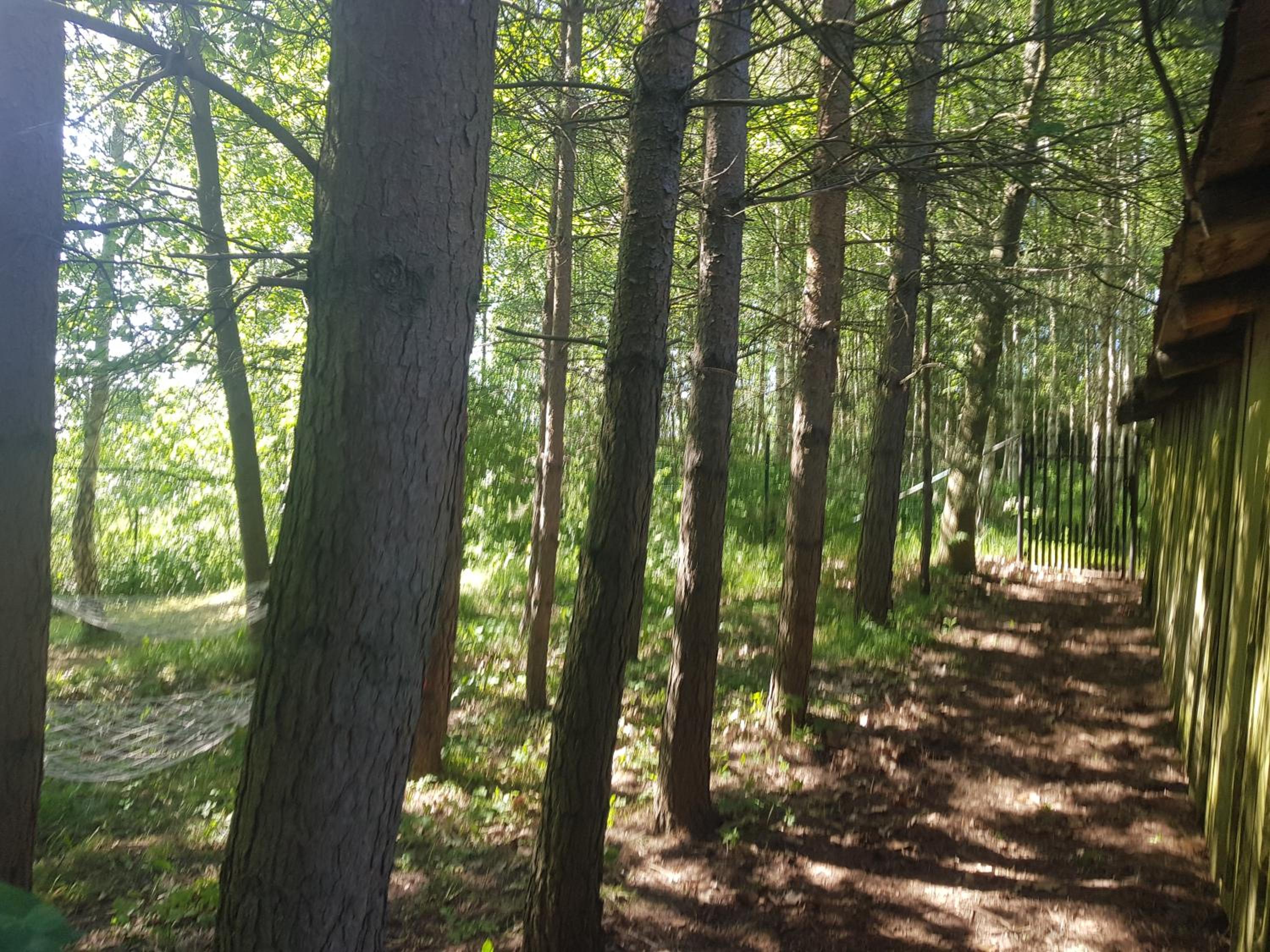 Photo 25
