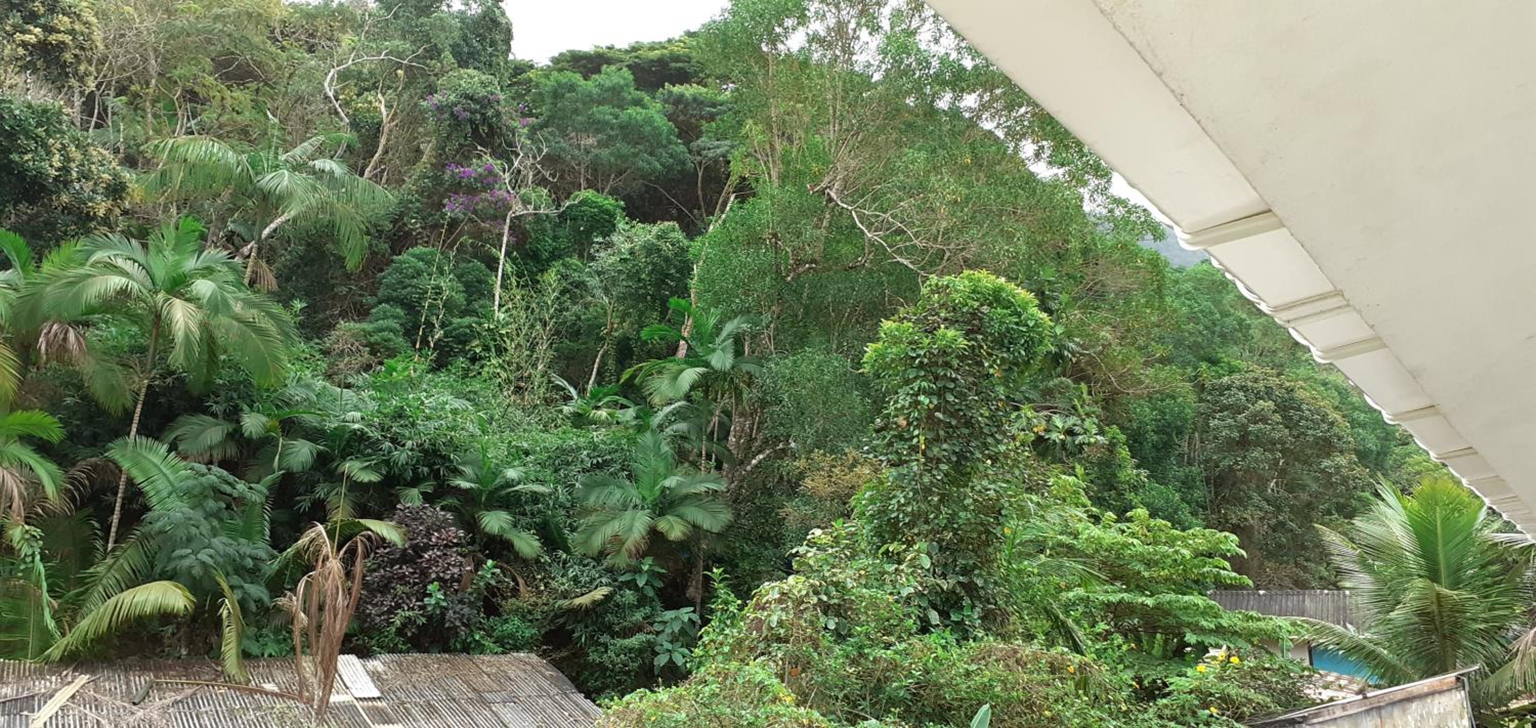 Canto do Riacho Suites