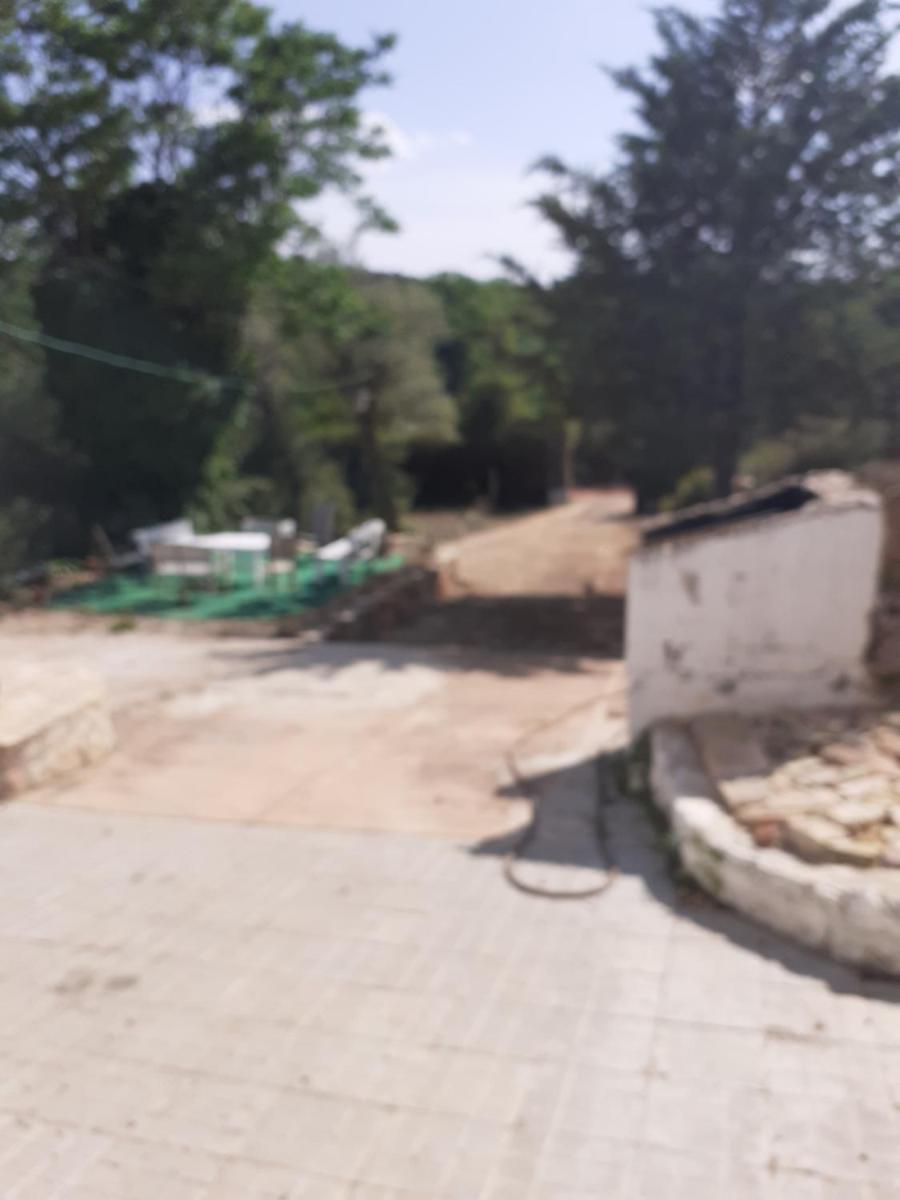 San José photo 4