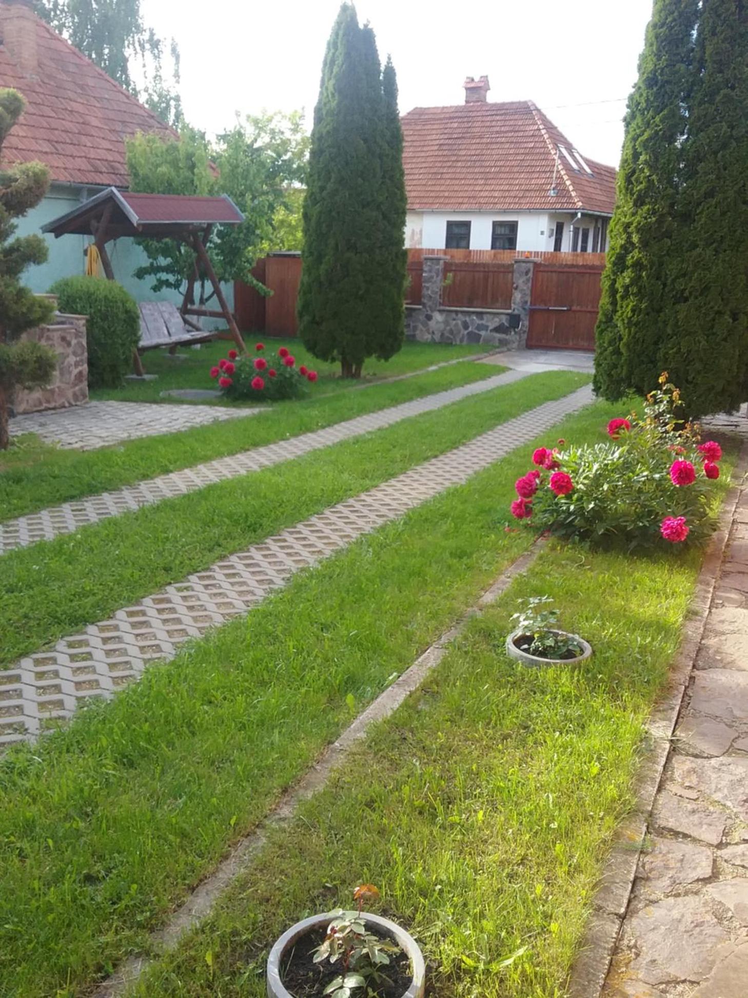 Photo 53