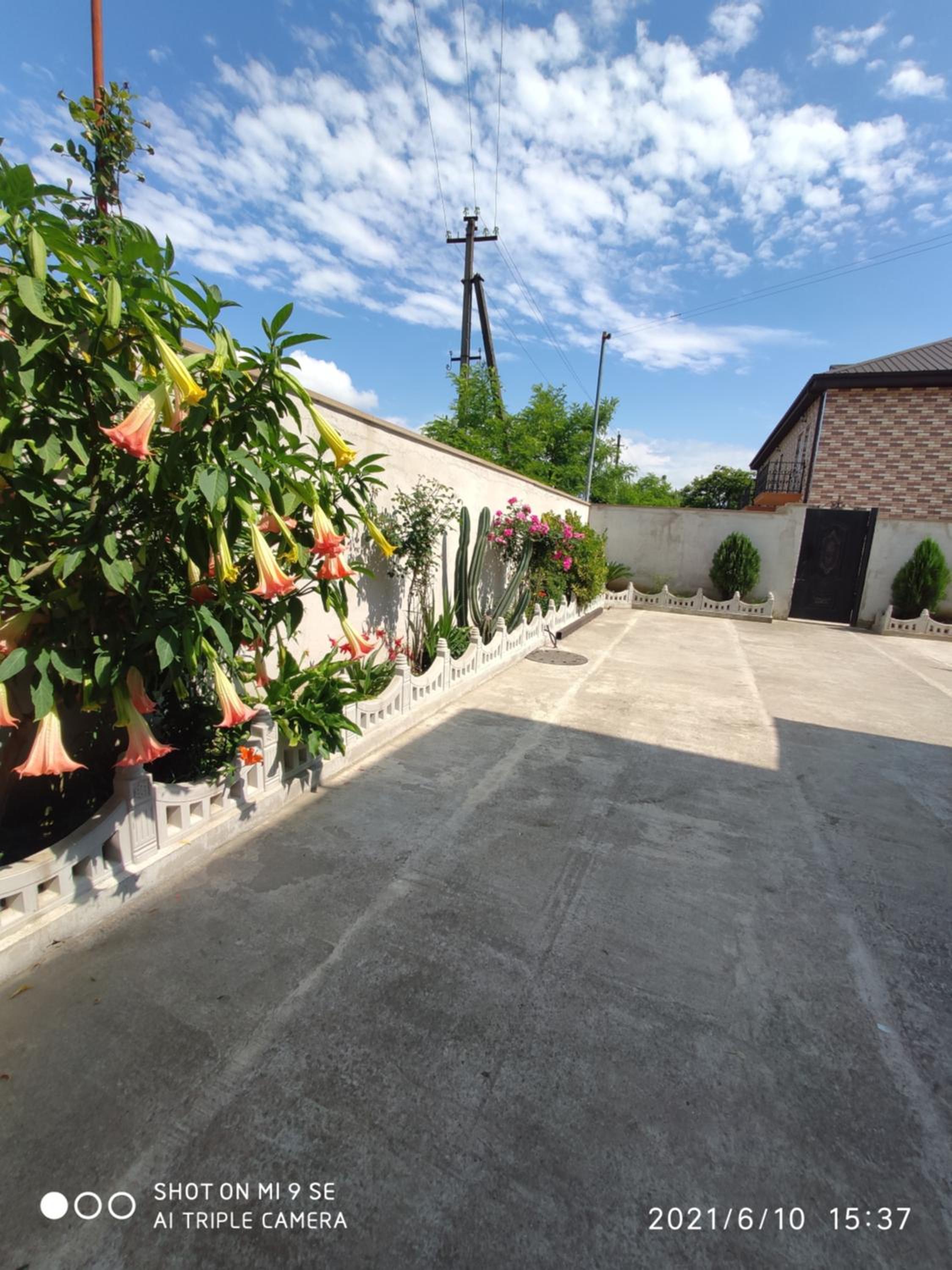 Photo 46