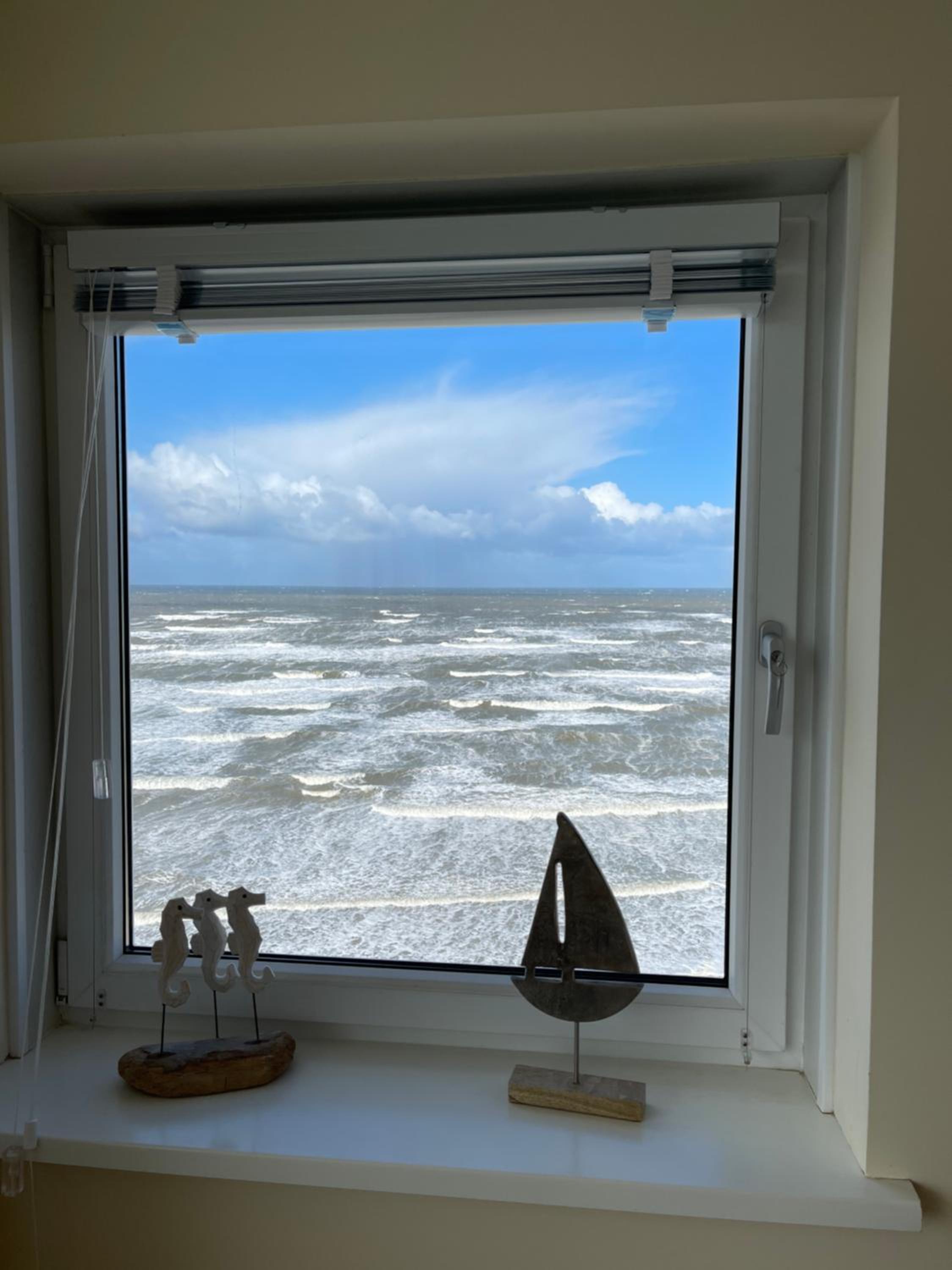 The wave view 3