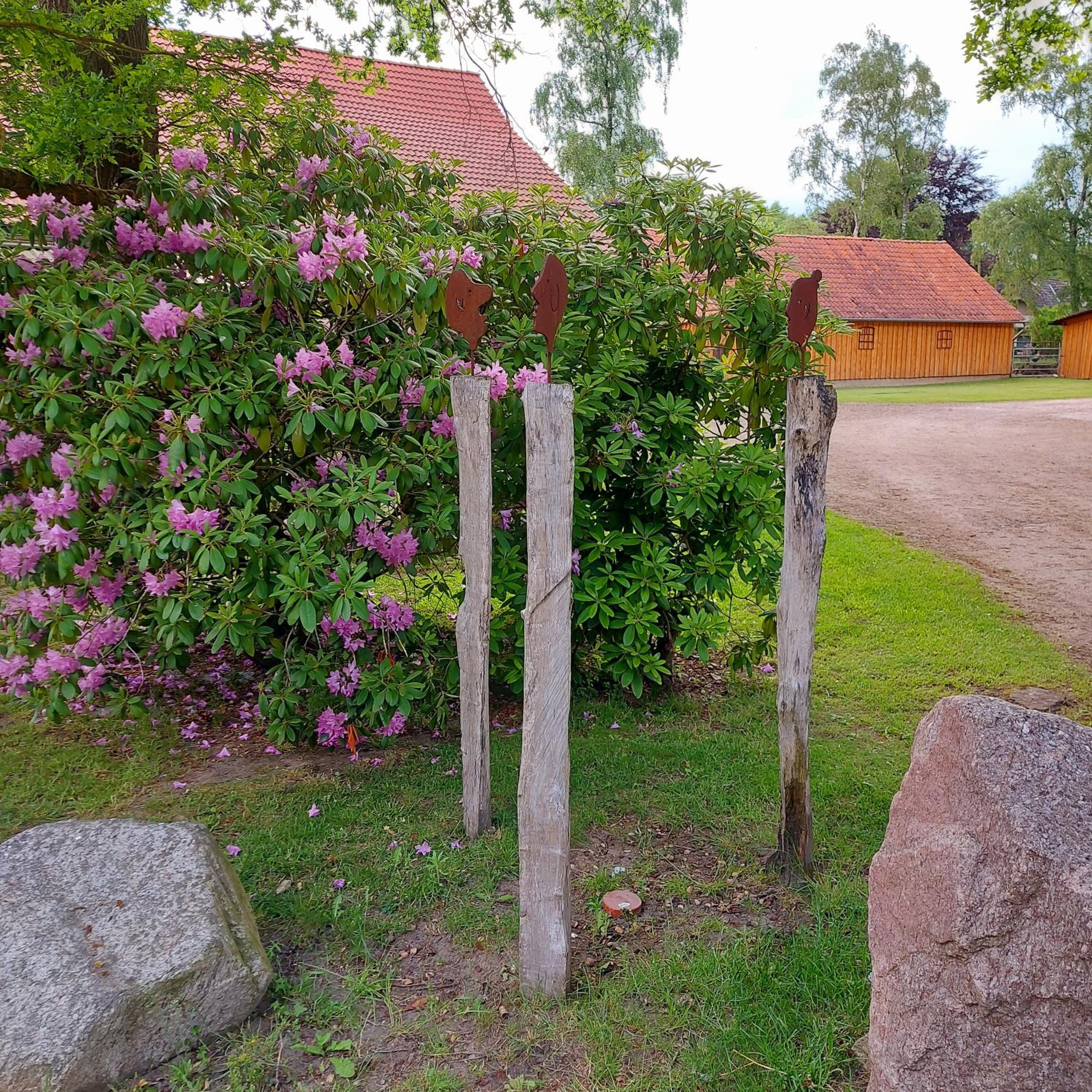Röhrshof
