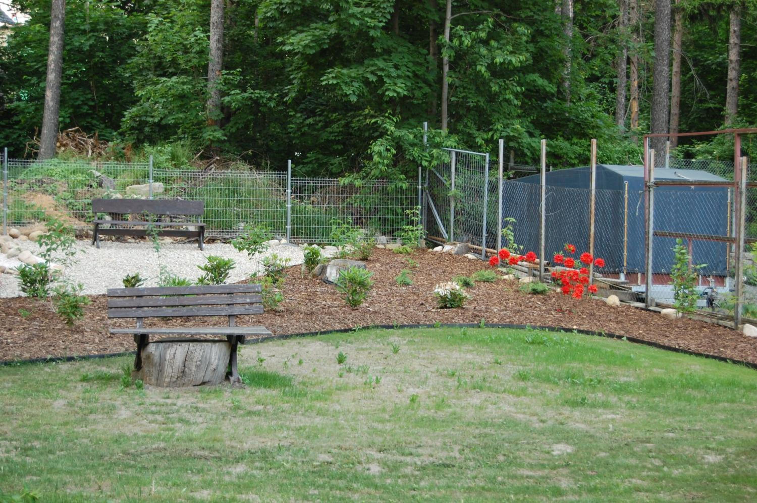 Photo 6