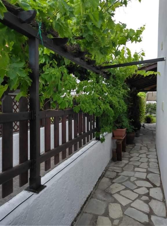 Photo 19