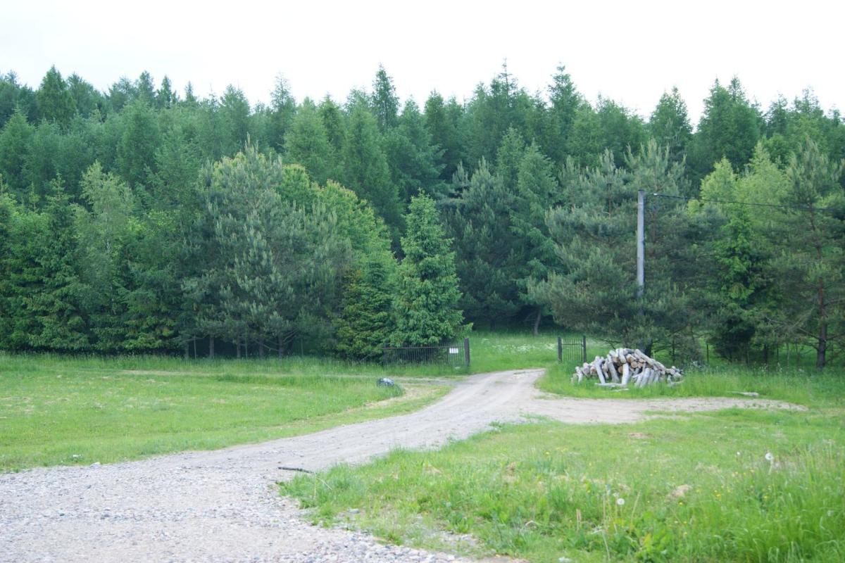 Photo 42