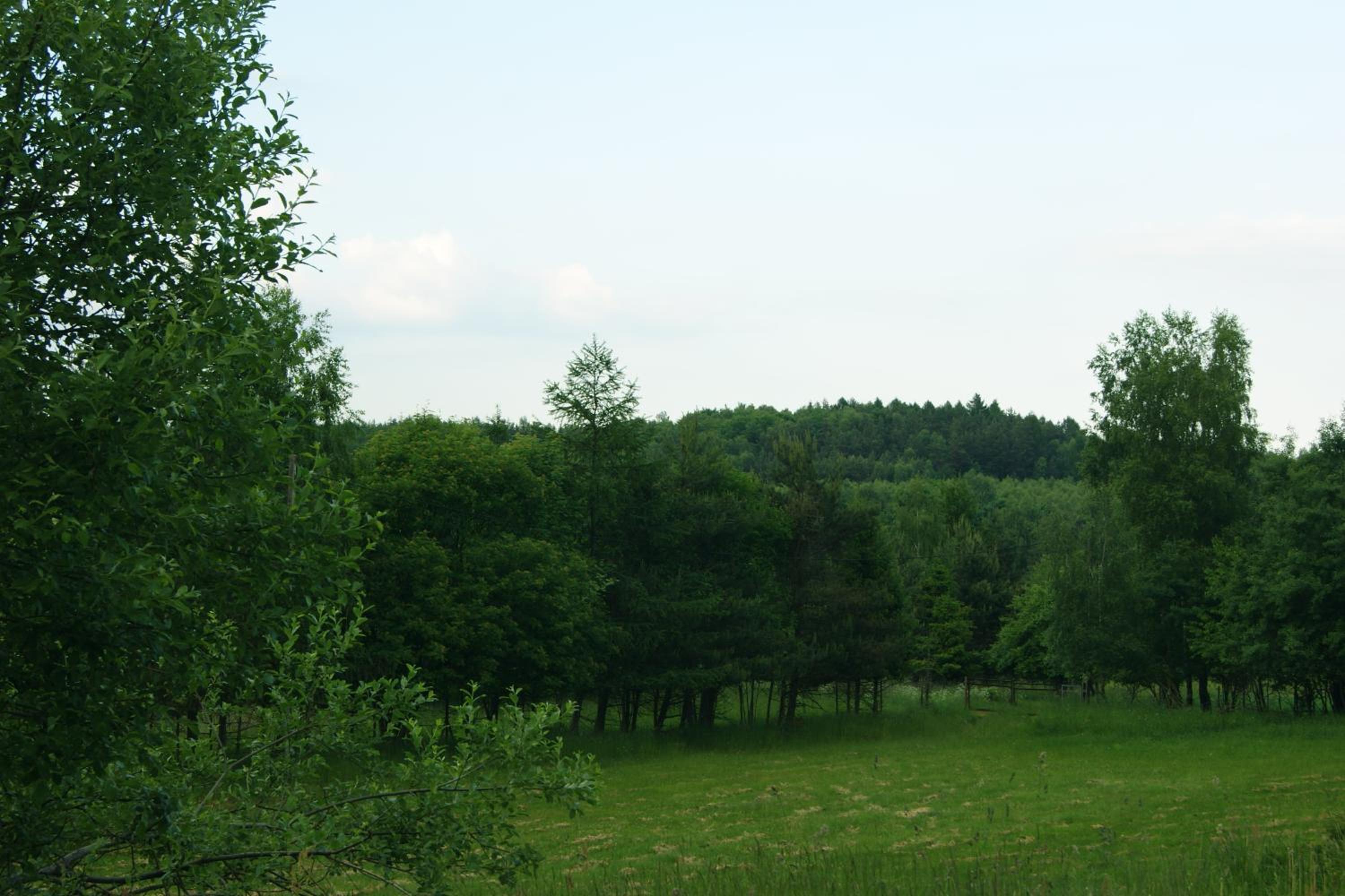 Photo 38