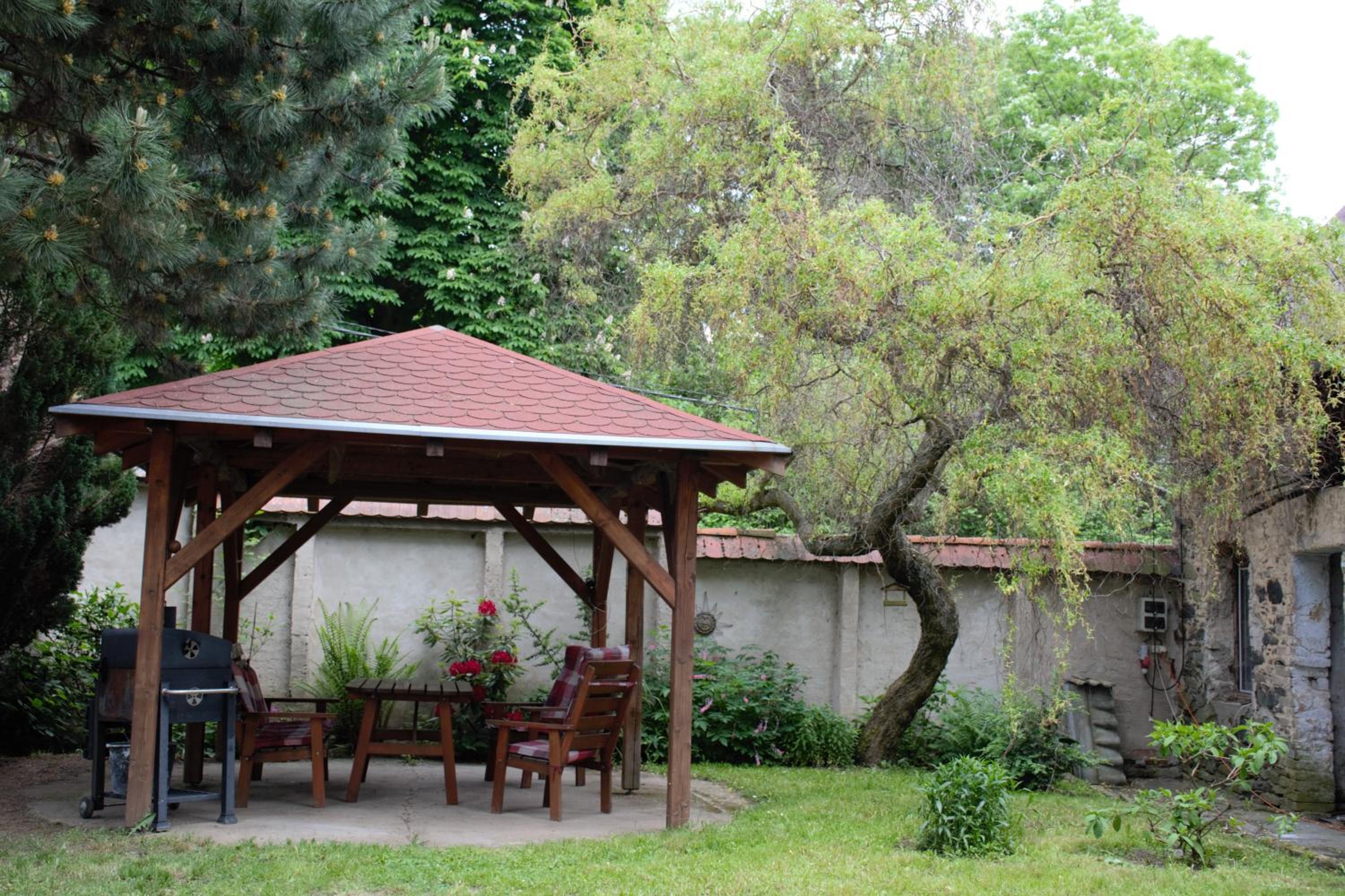 Photo 11