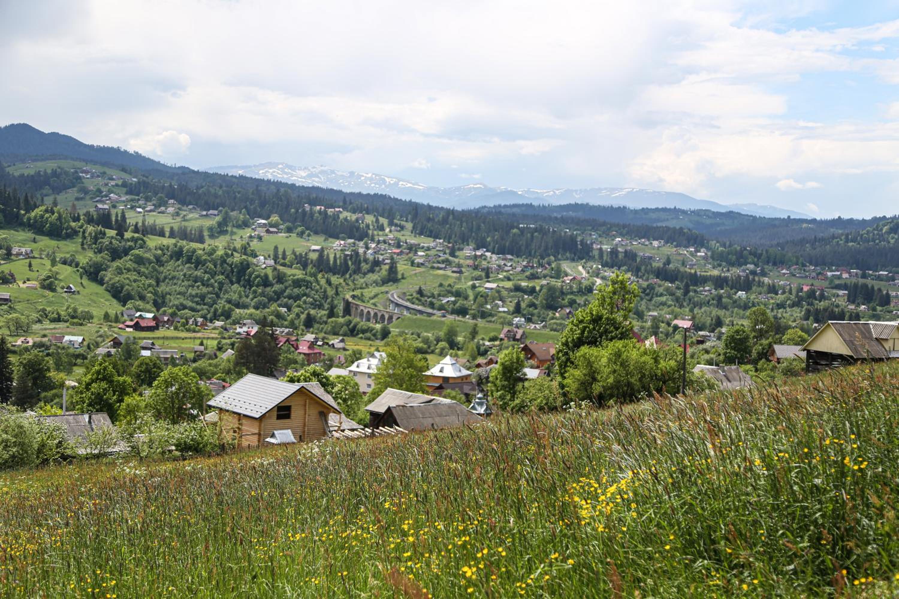 Photo 44