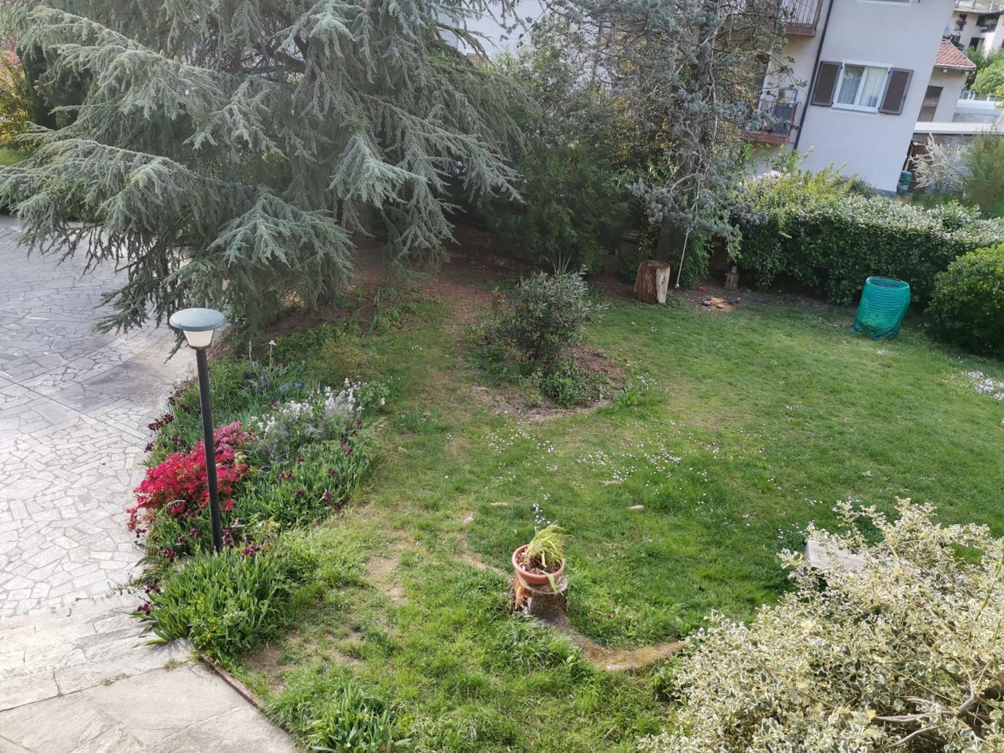 Photo 42