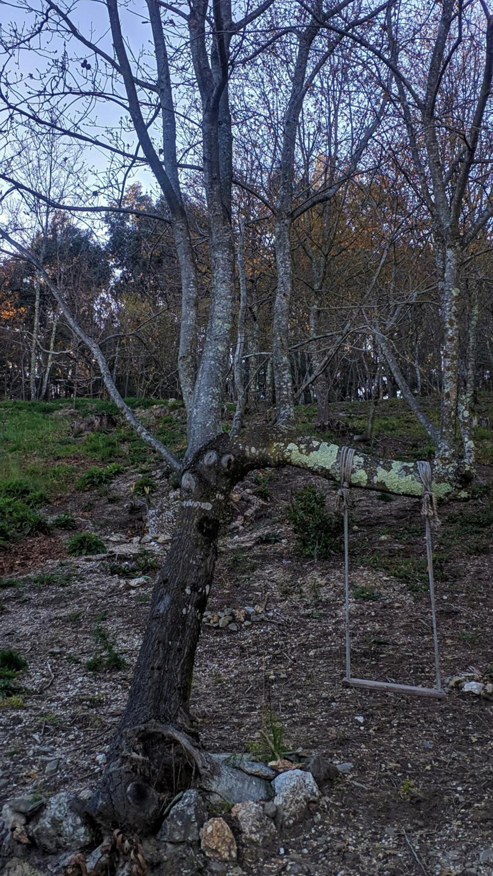 Photo 25