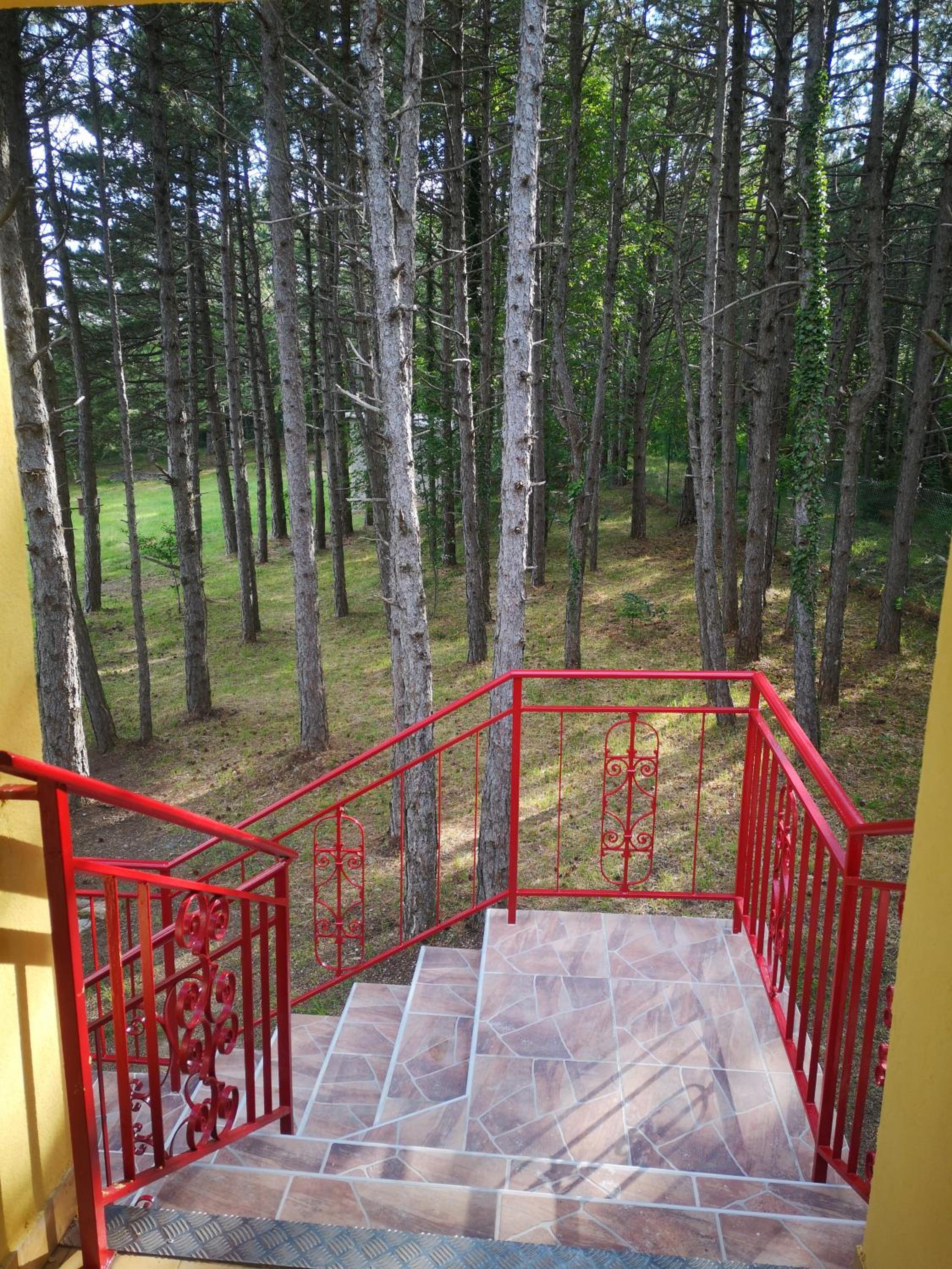 Pineta view 3