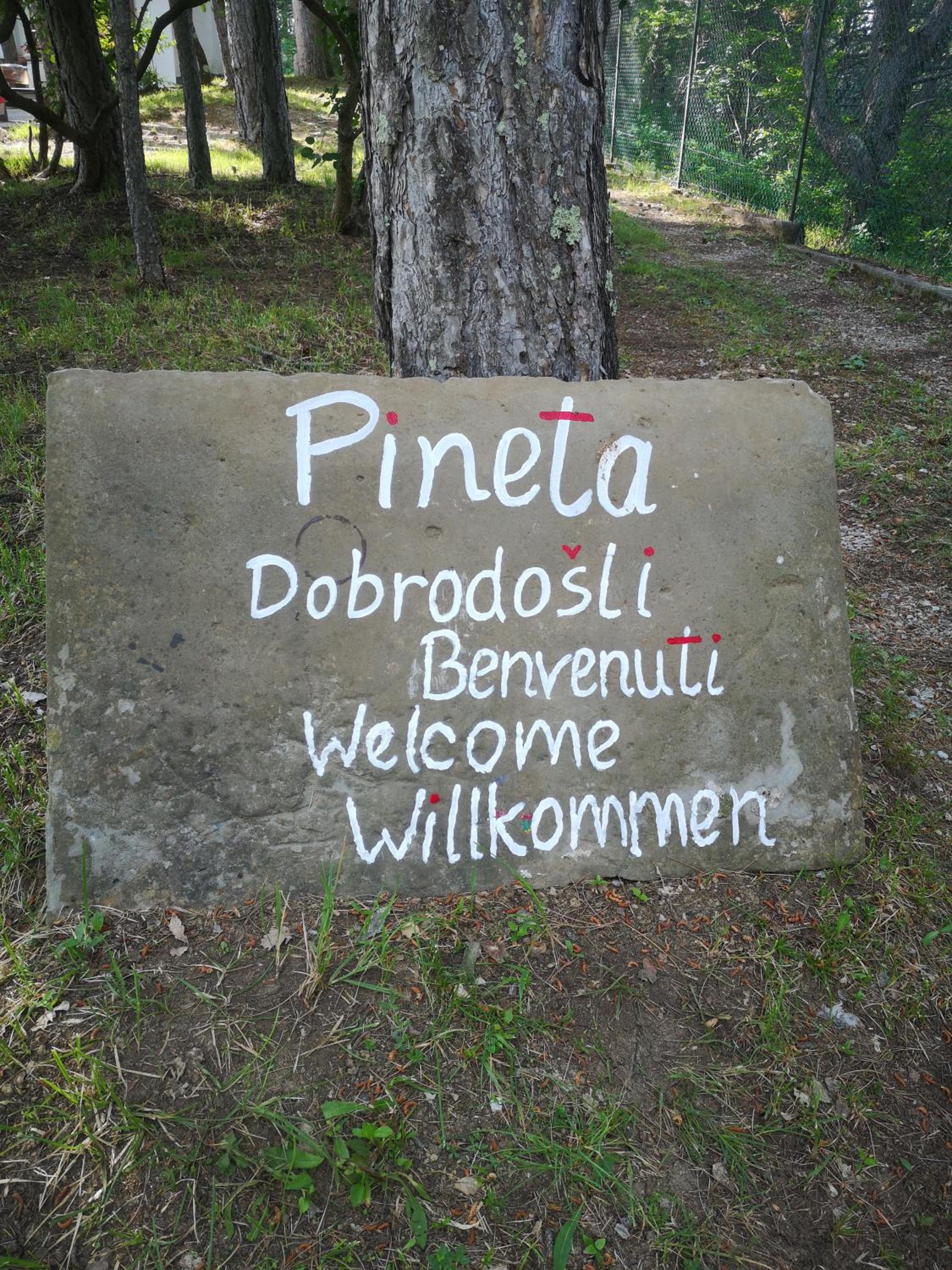 Photo 24