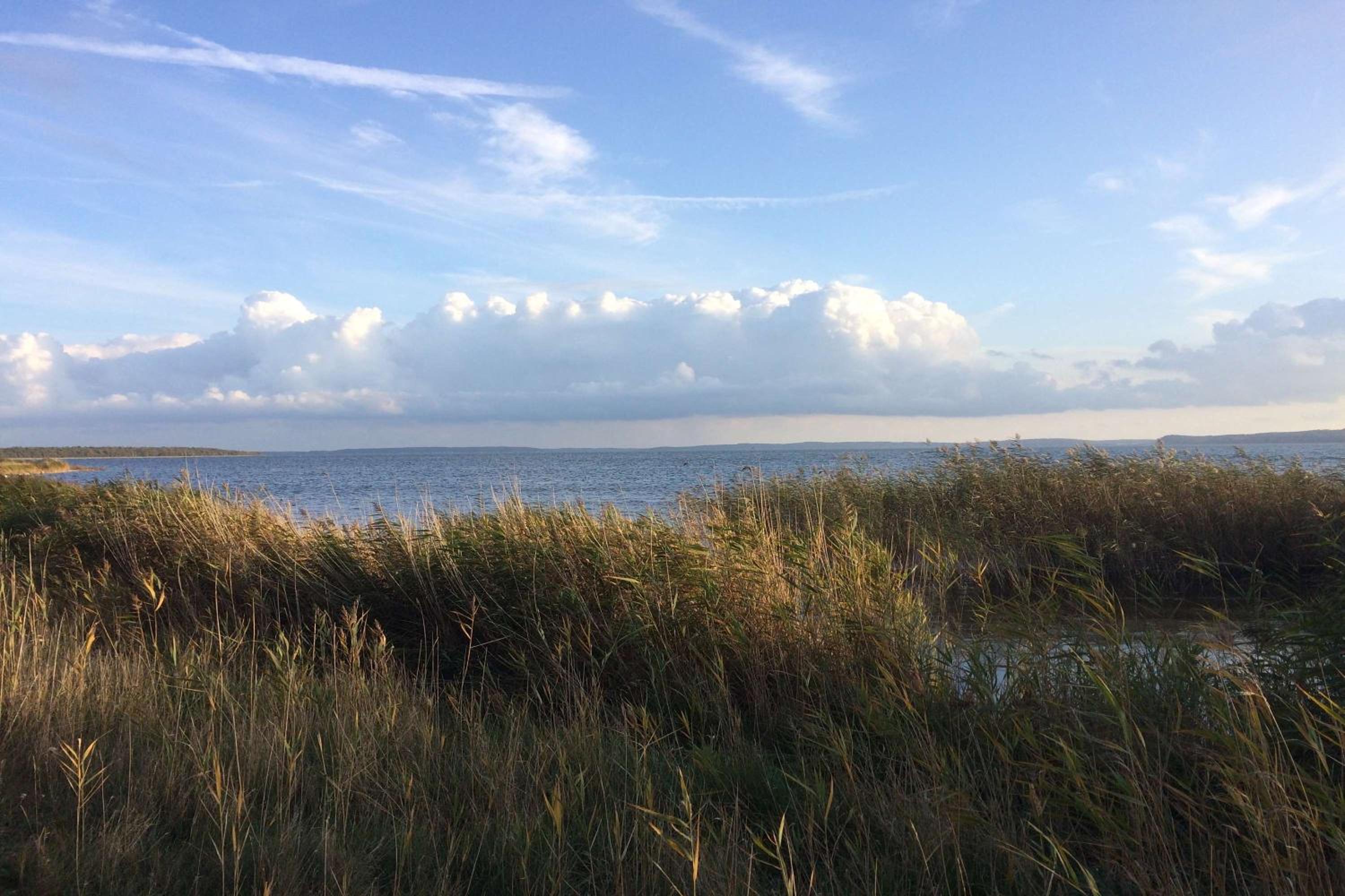 Strandresidenz Brandenburg Ferienwohnung 07 mit Sauna- und Schwimmbadnutzung im AHOI Sellin