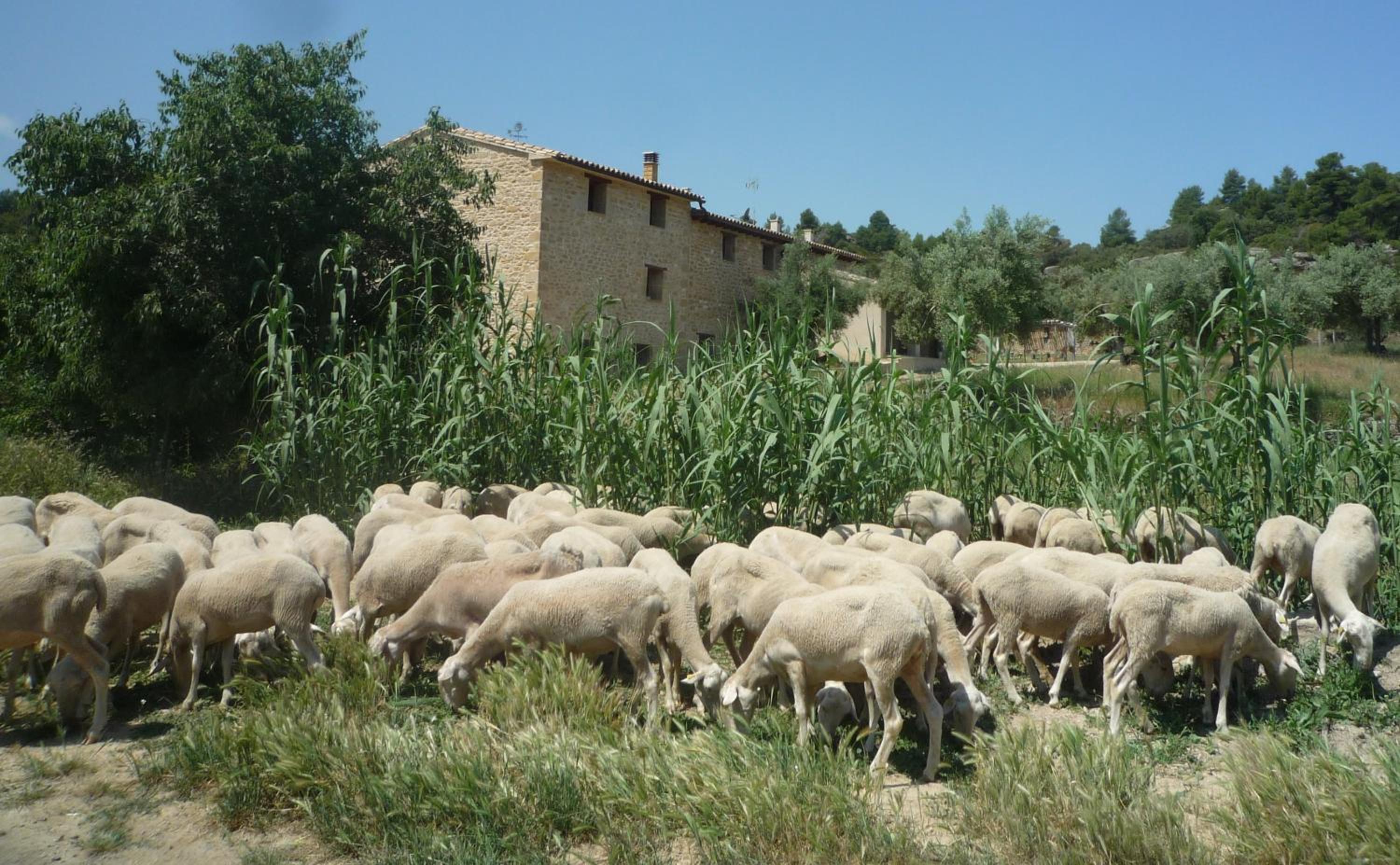 Photo 41