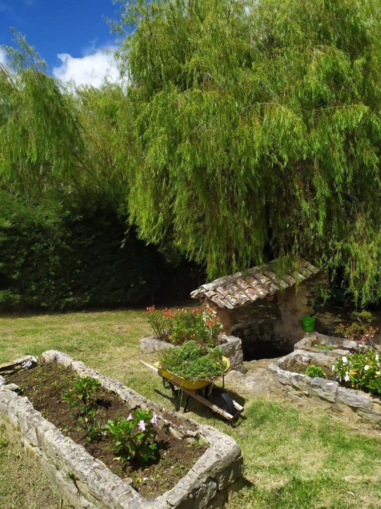 Photo 18