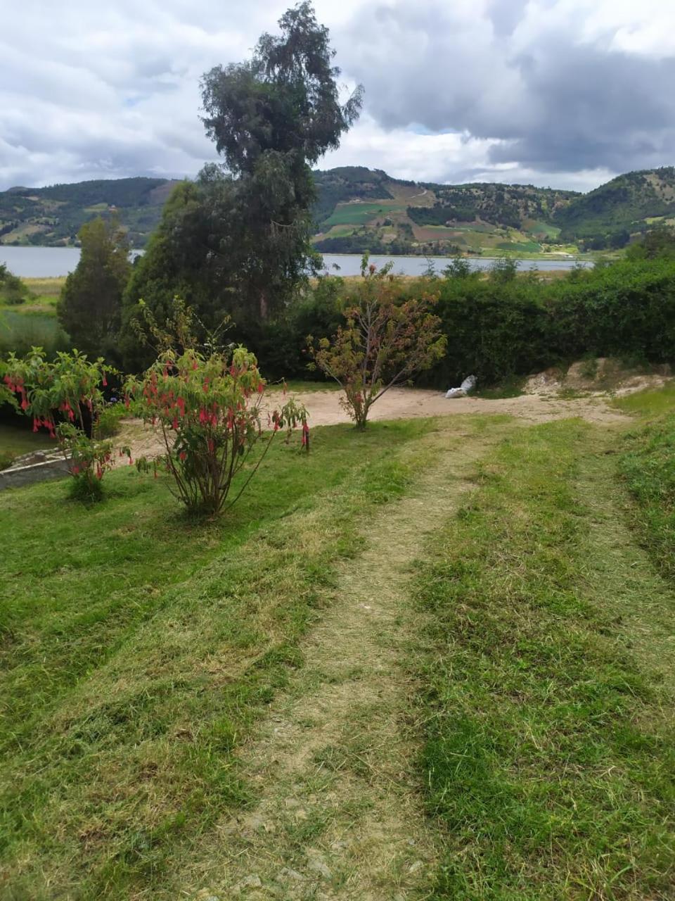 Photo 19