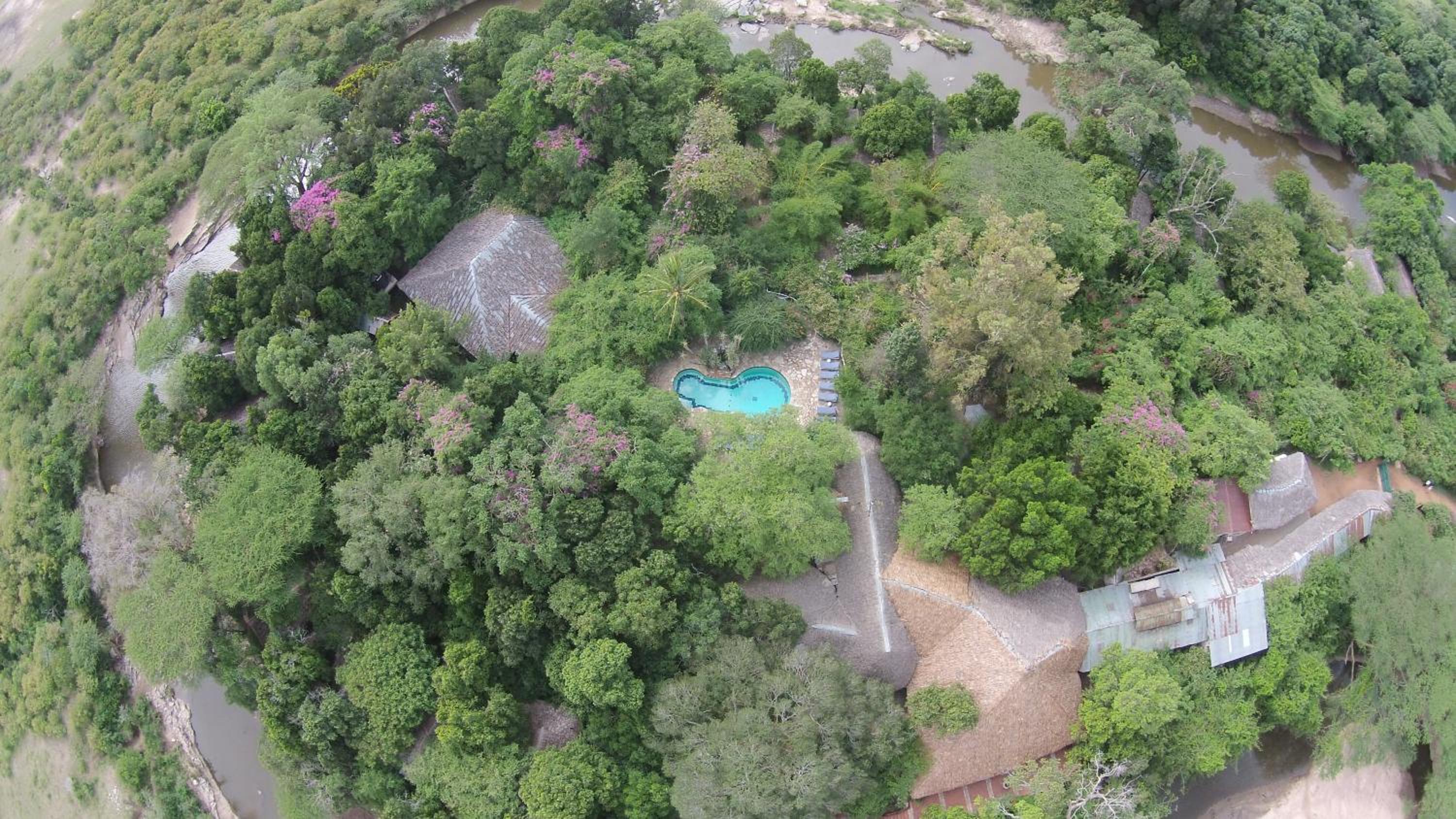Fig Tree Camp - Maasai Mara view 2