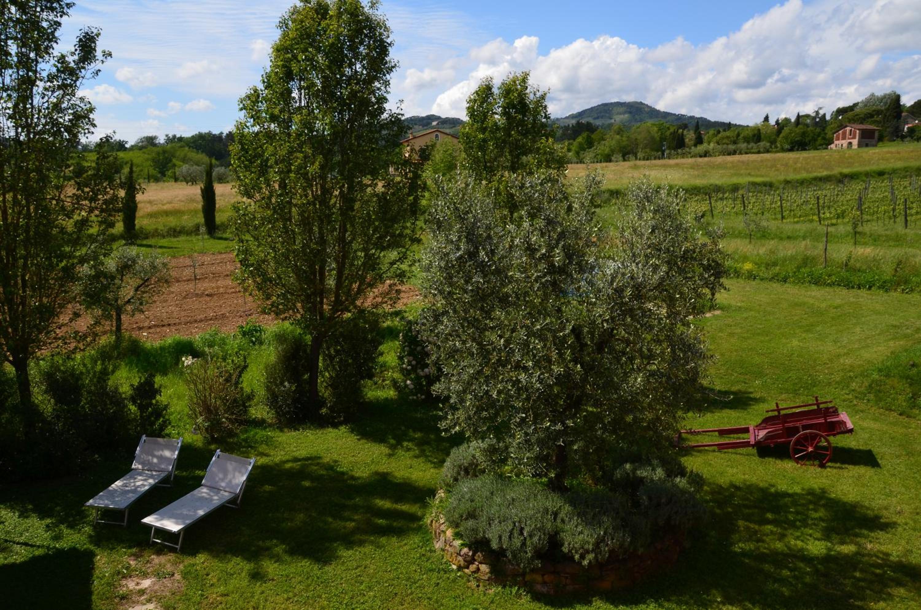 Agriturismo Al Podere Di Rosa — photo 34