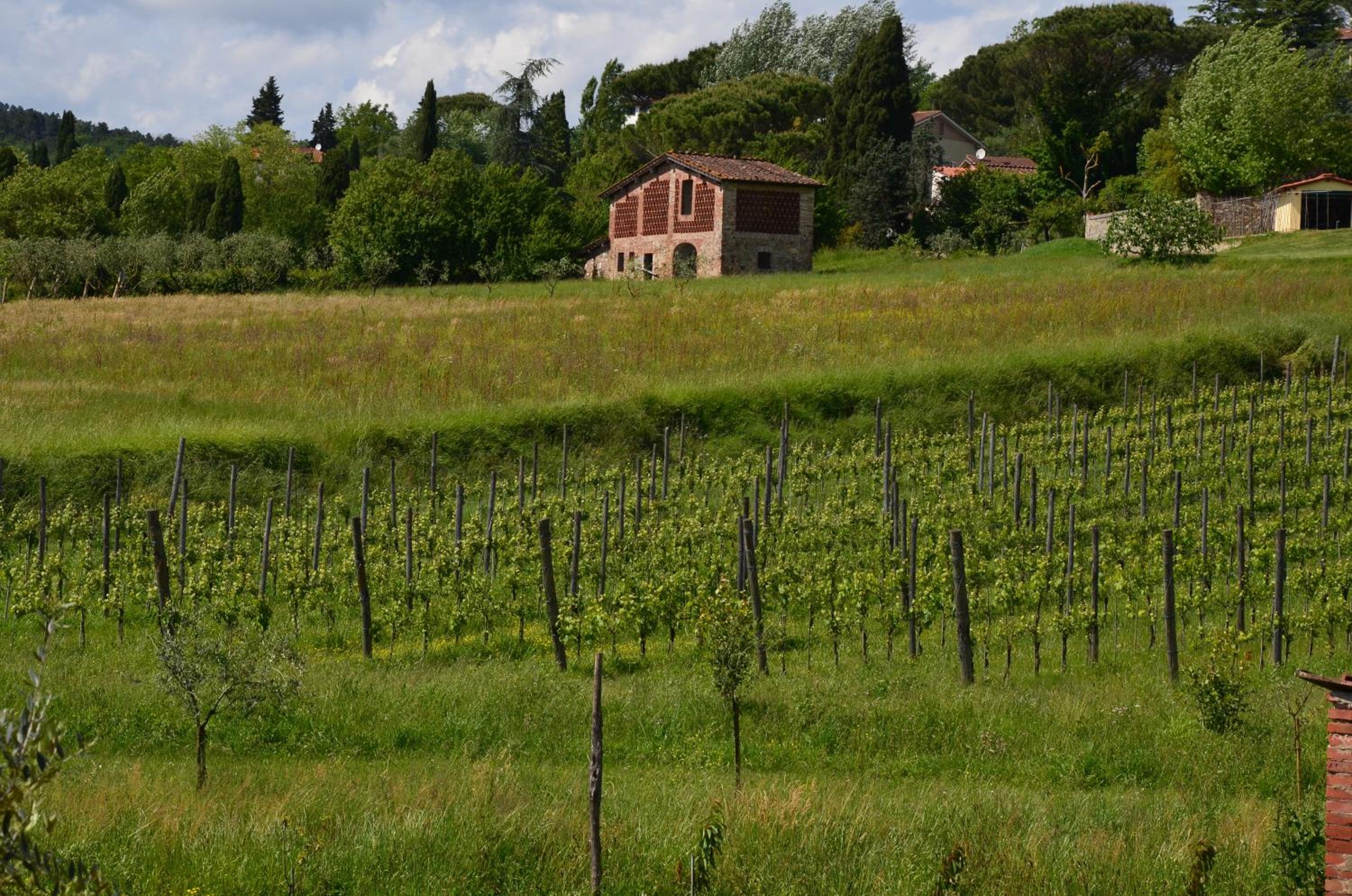 Agriturismo Al Podere Di Rosa — photo 13