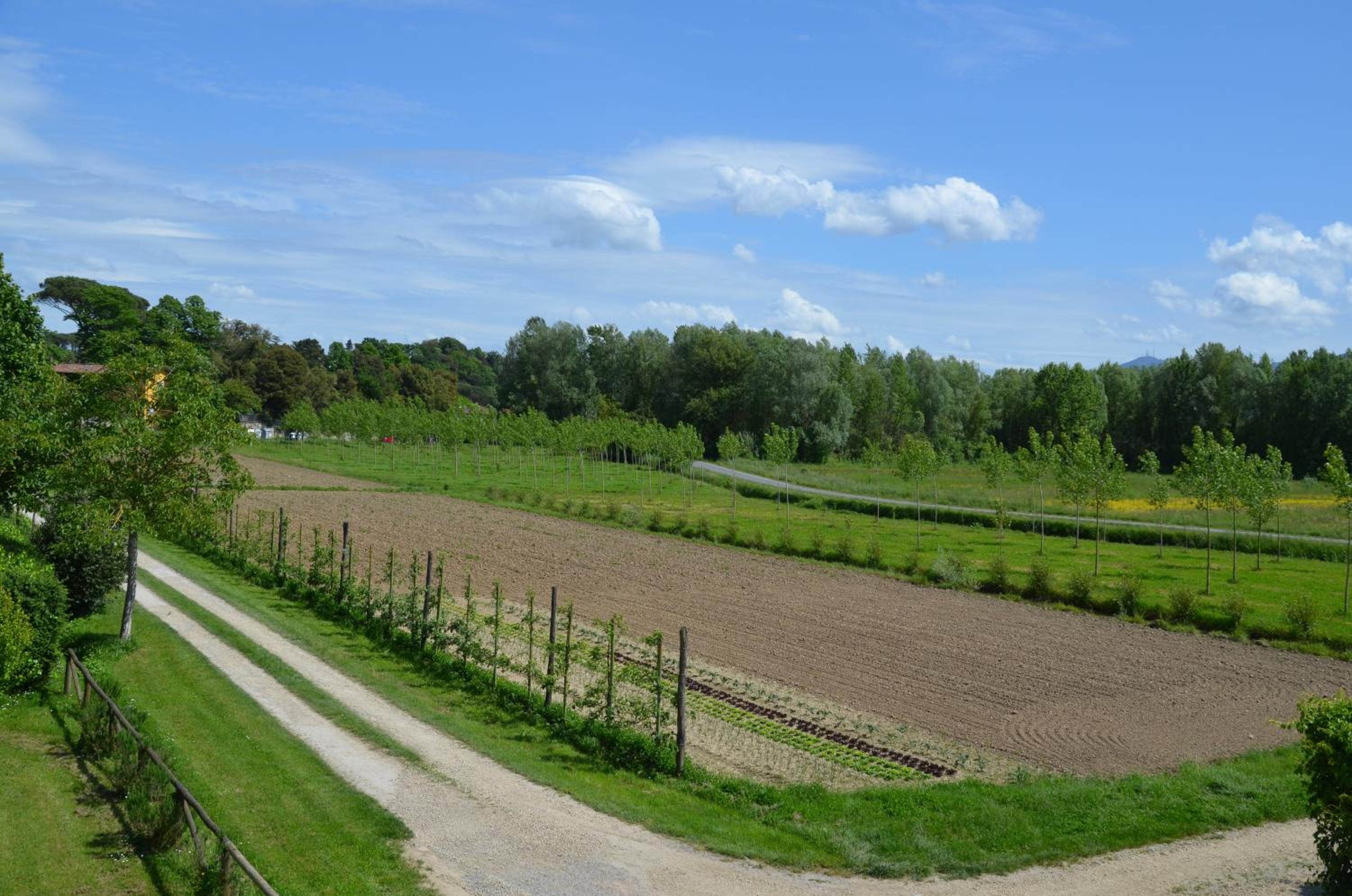 Agriturismo Al Podere Di Rosa — photo 5