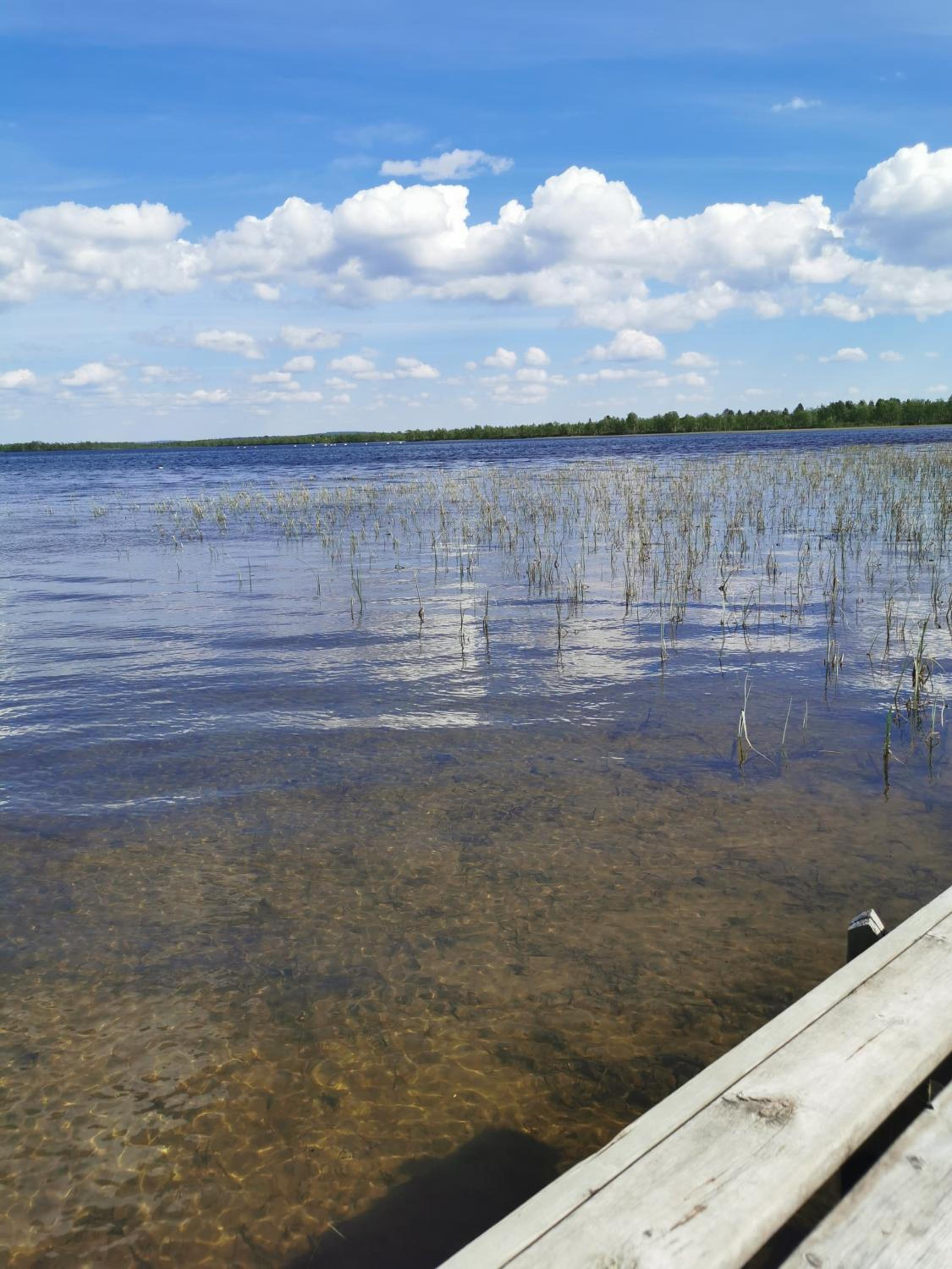 Photo 28