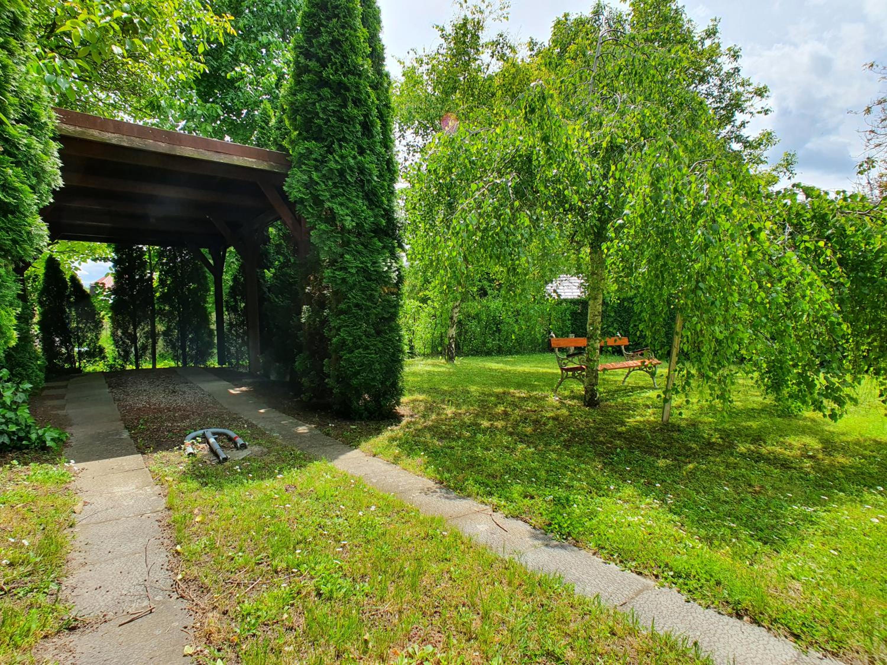 Photo 24
