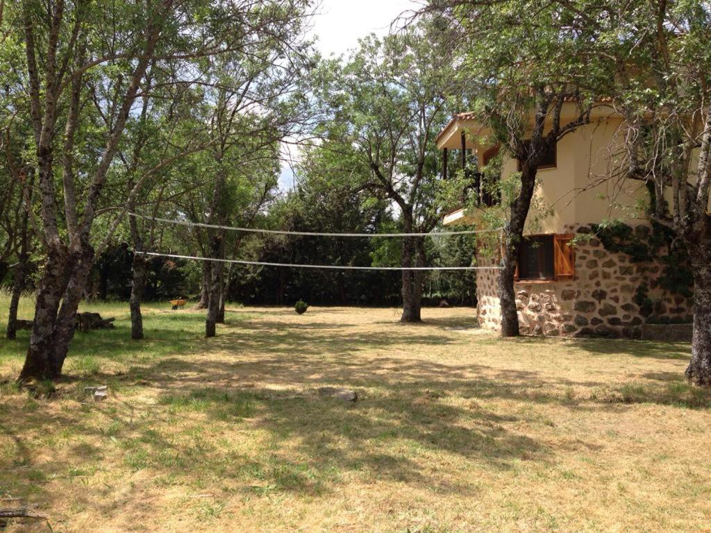 Photo 9