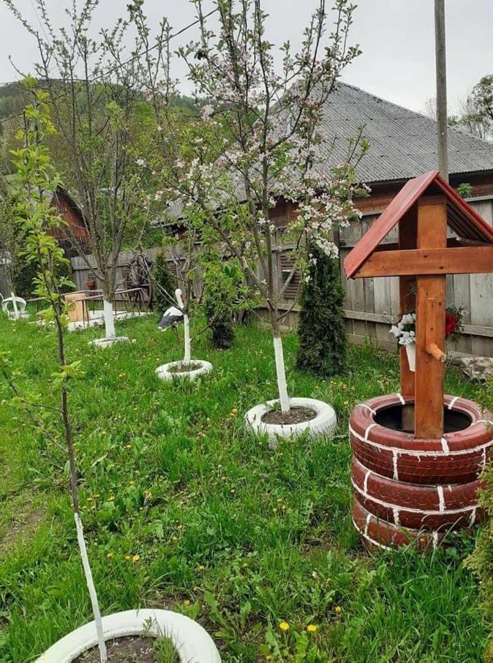 Photo 53