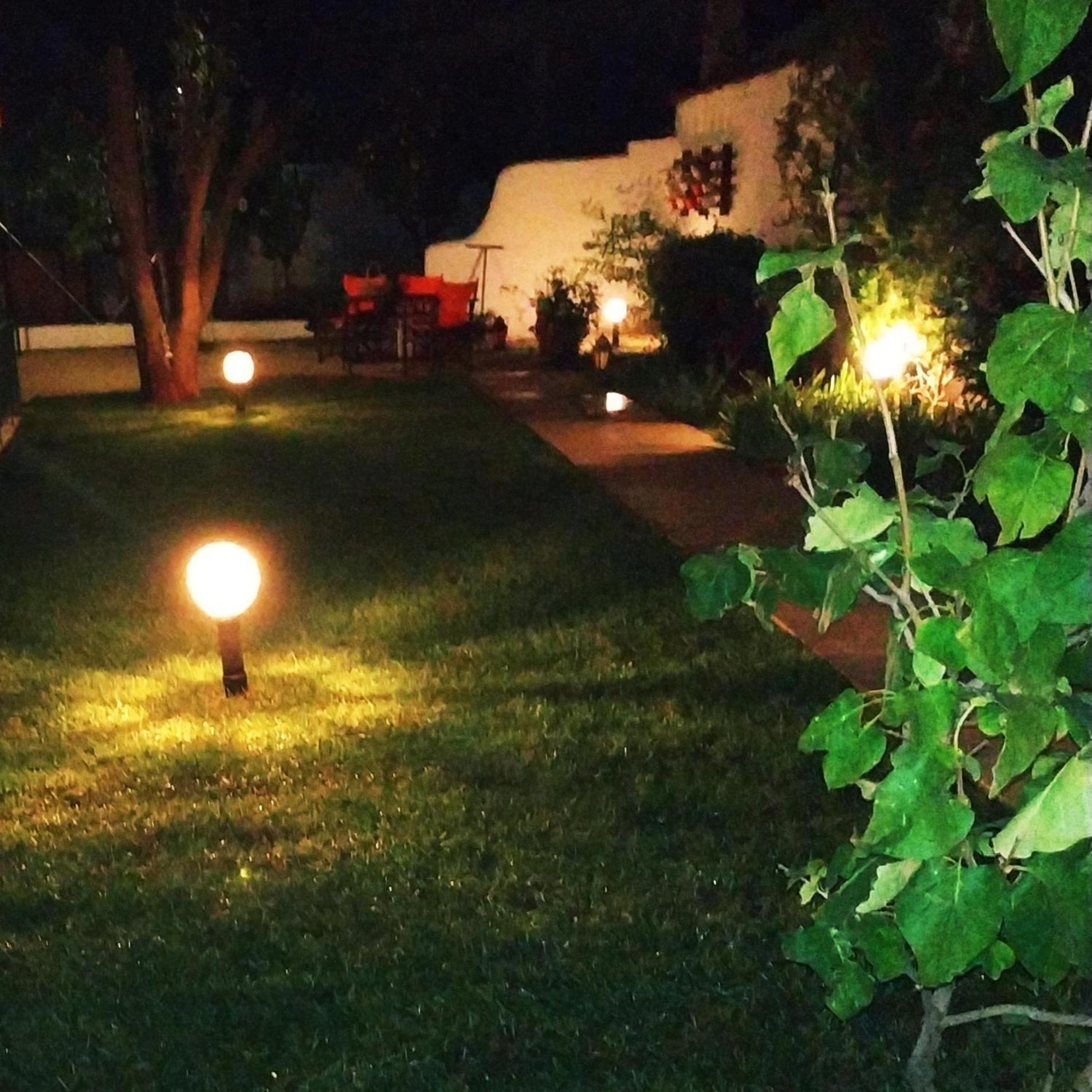 Photo 12