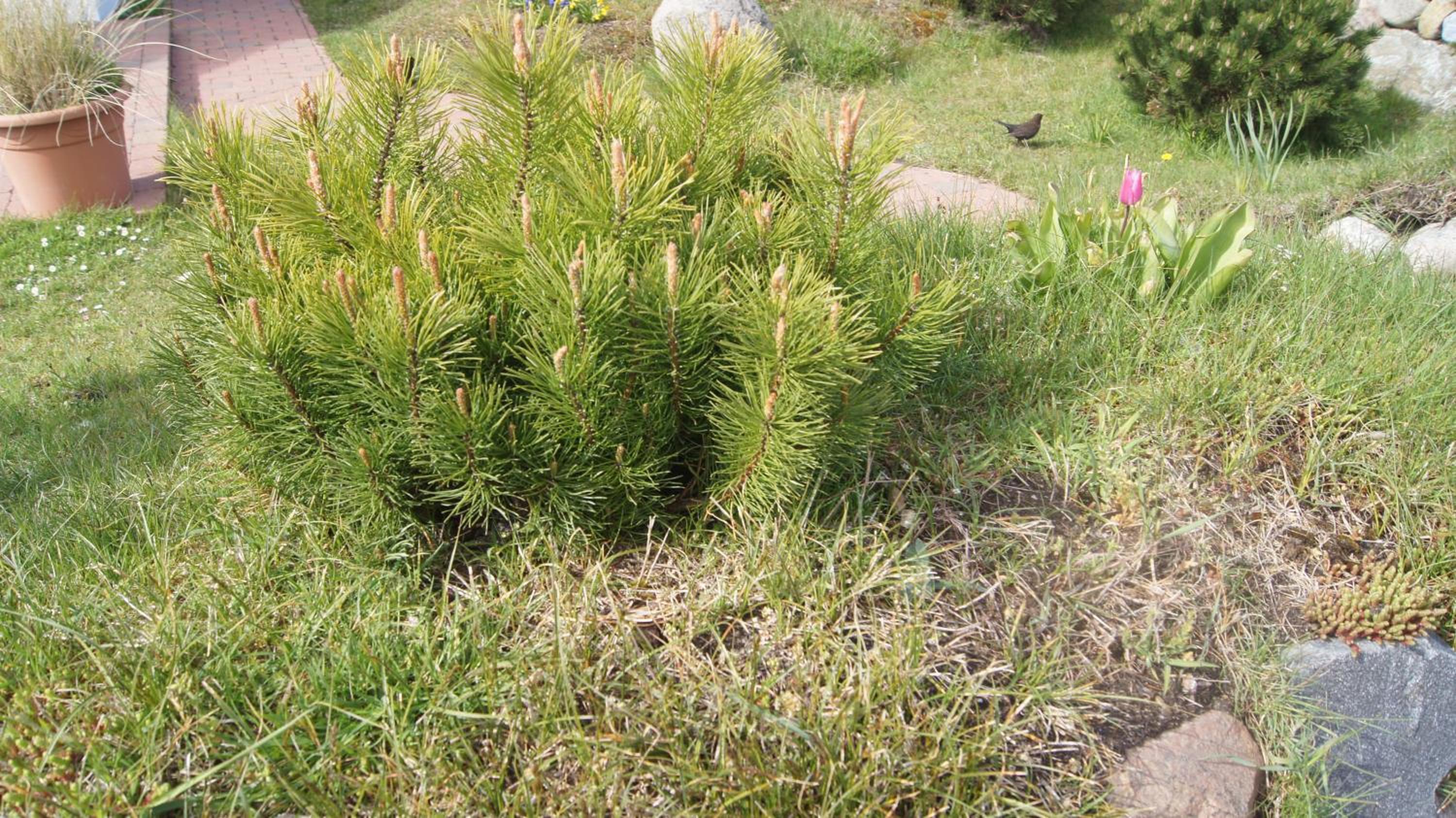 Photo 23