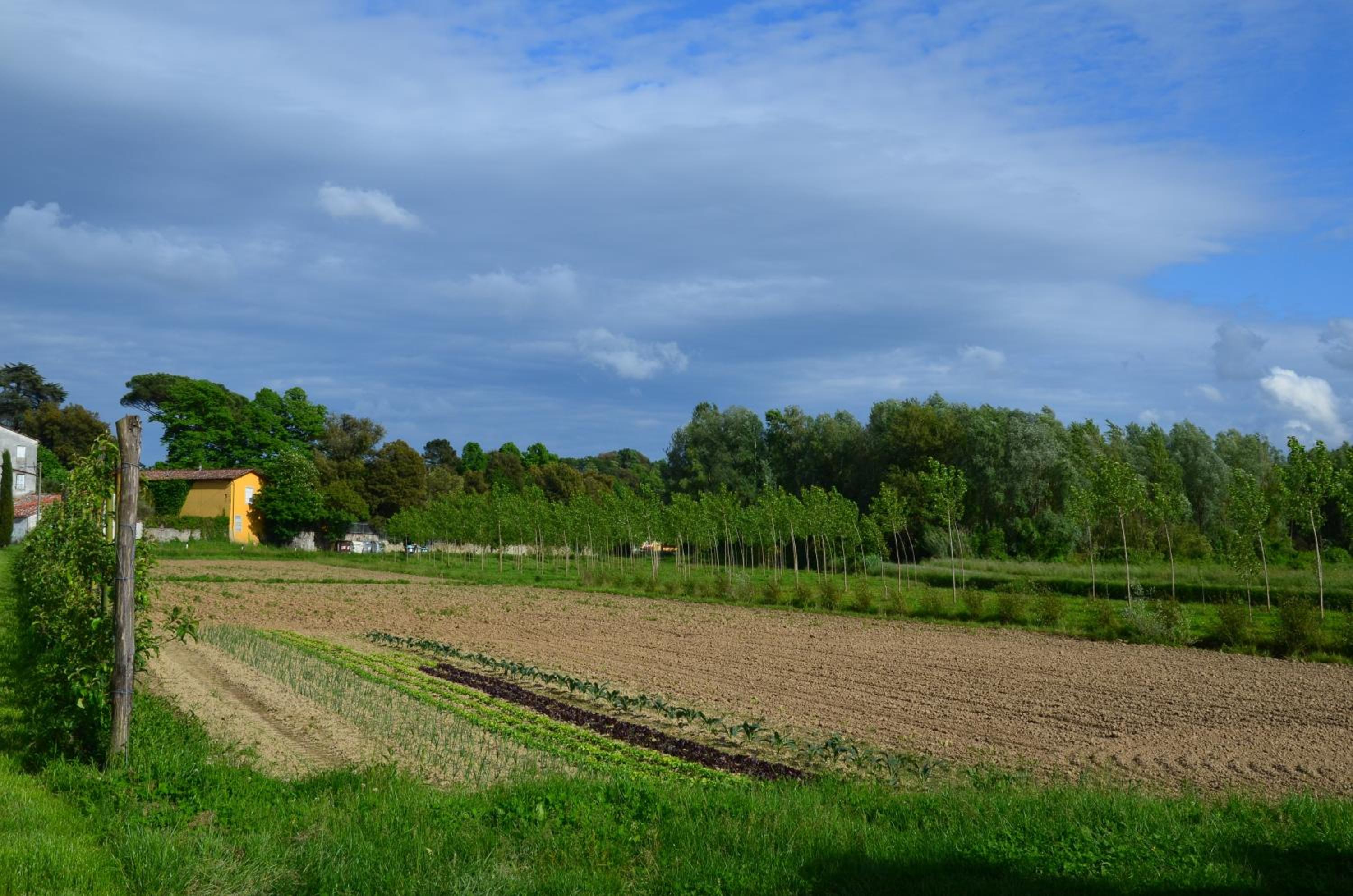 Agriturismo Al Podere Di Rosa — photo 12