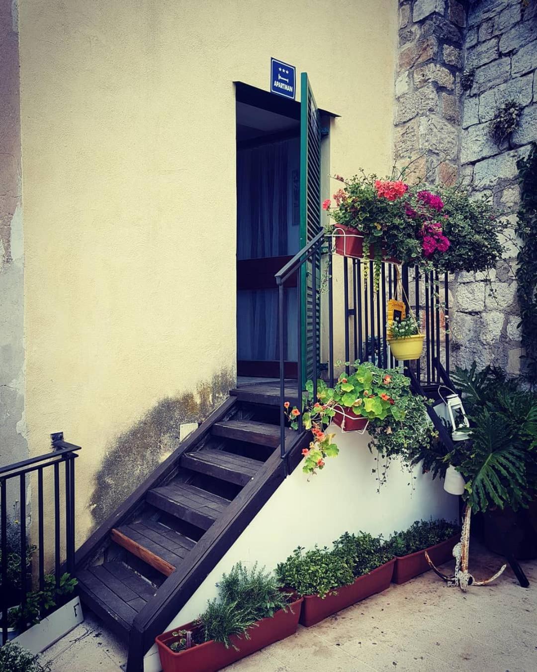 Apartment Obala