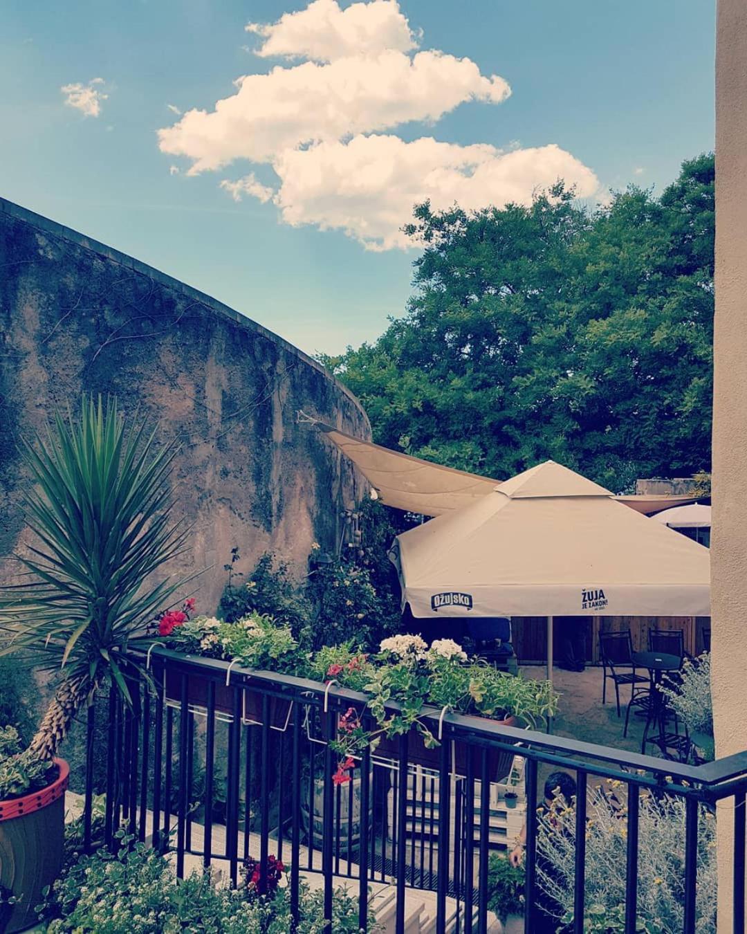 Apartment Obala