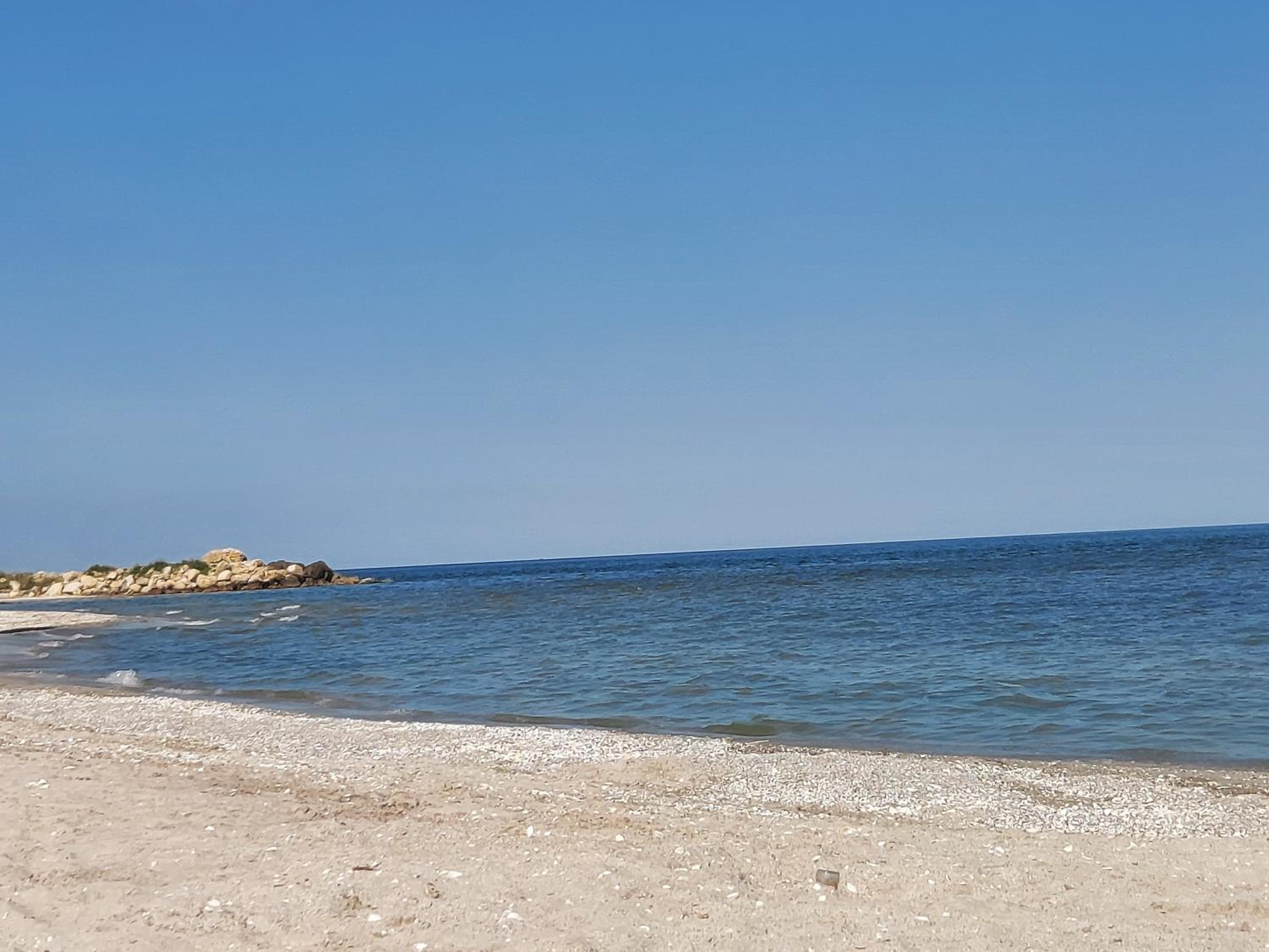La Olteanu