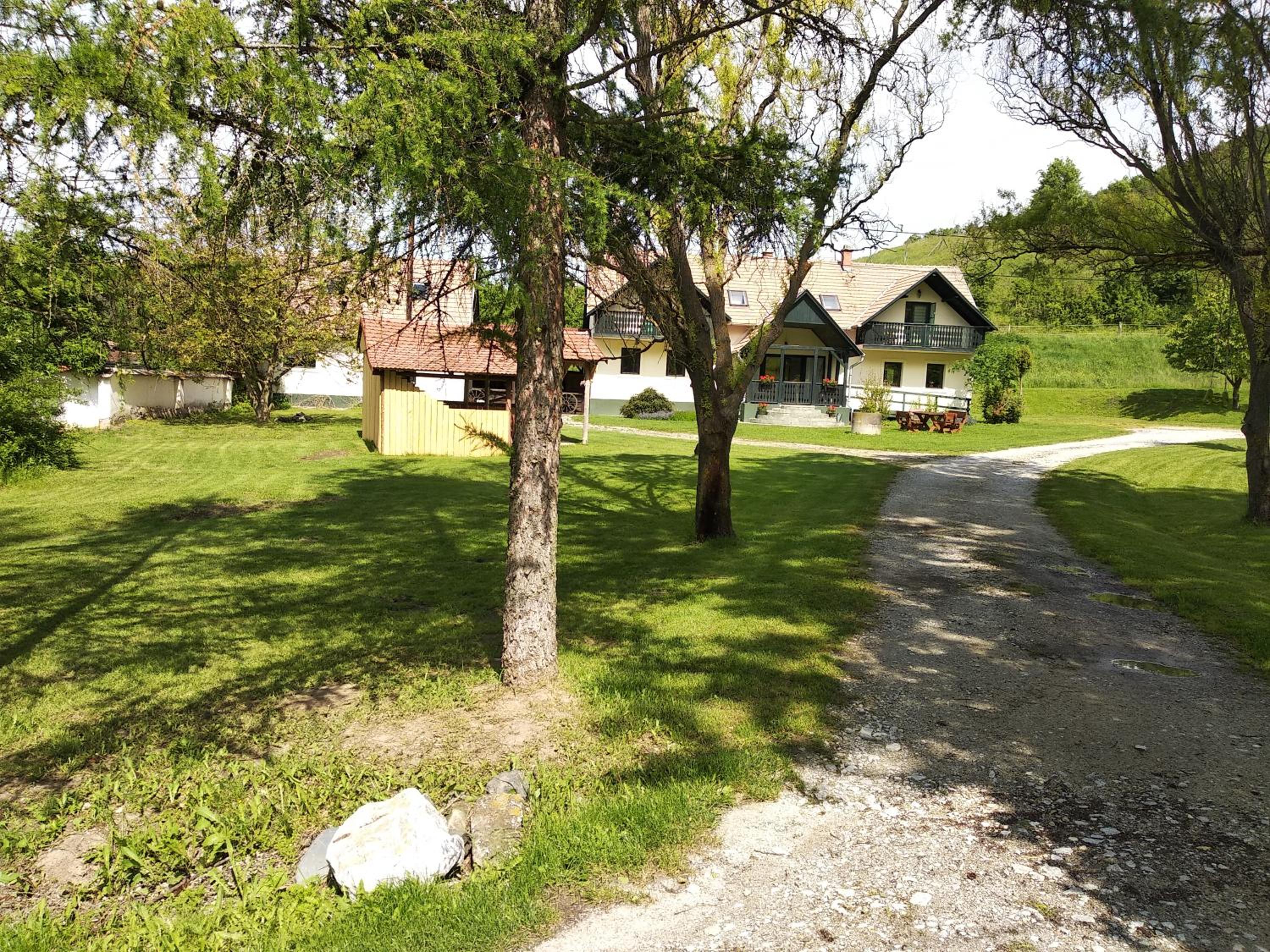 Photo 31