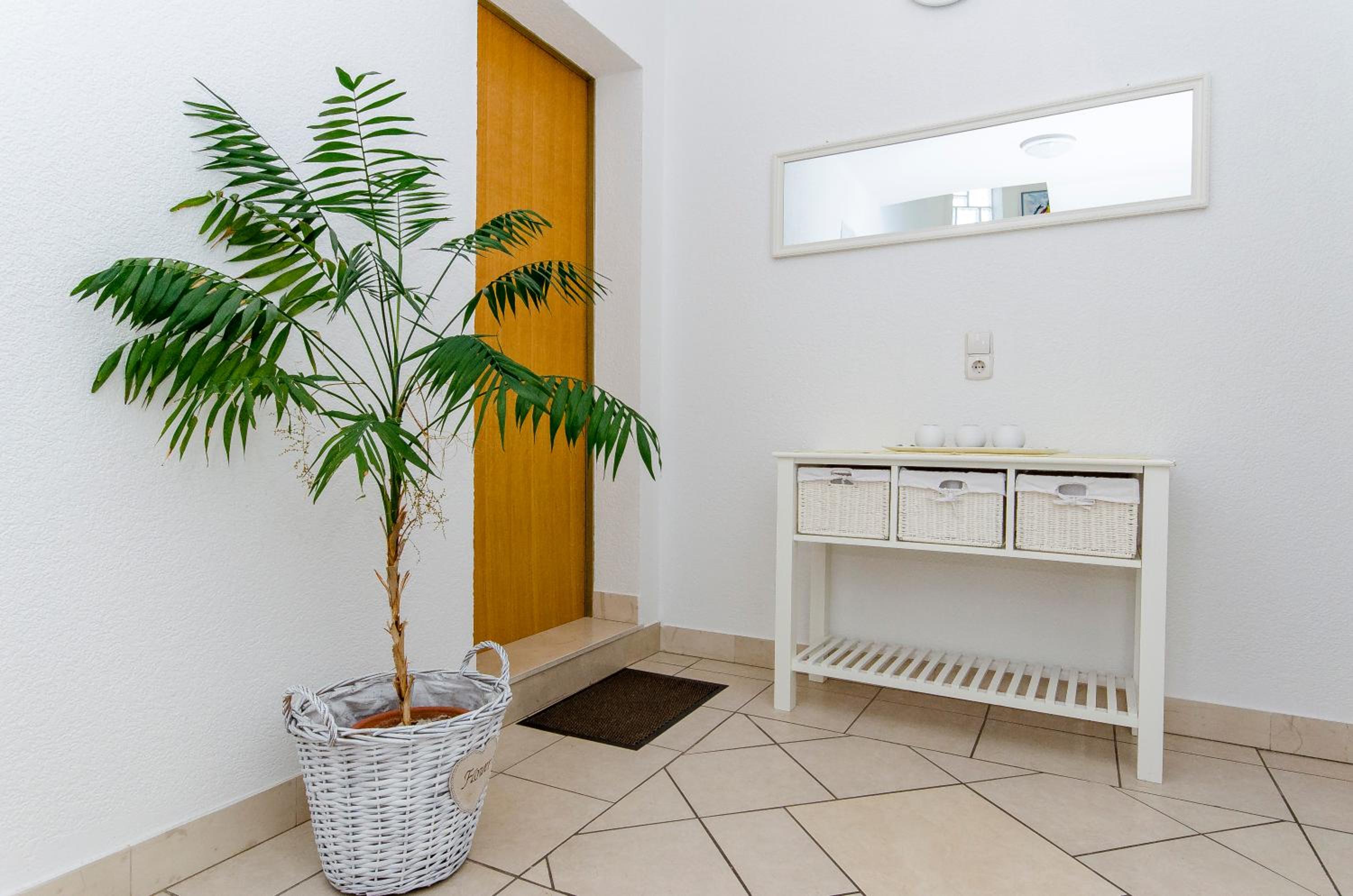 House Kovacevic
