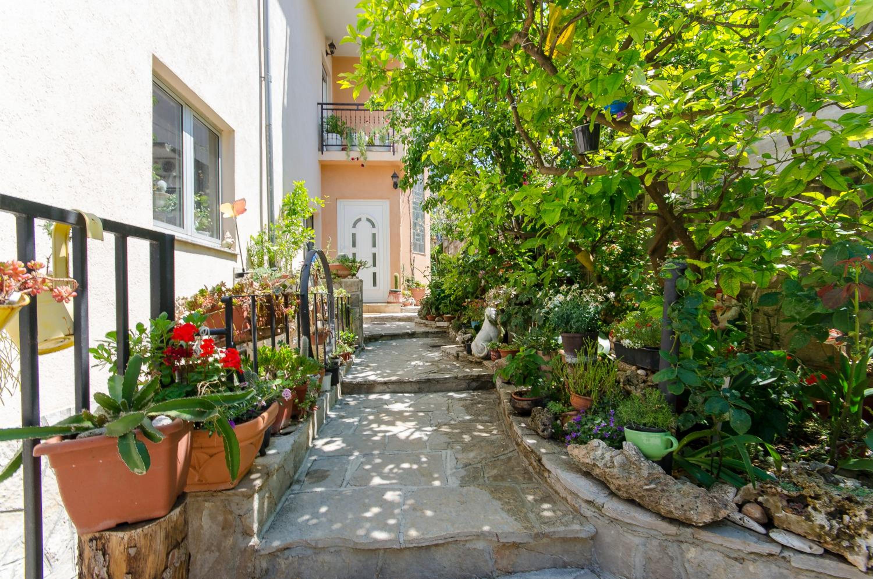 House Kovacevic
