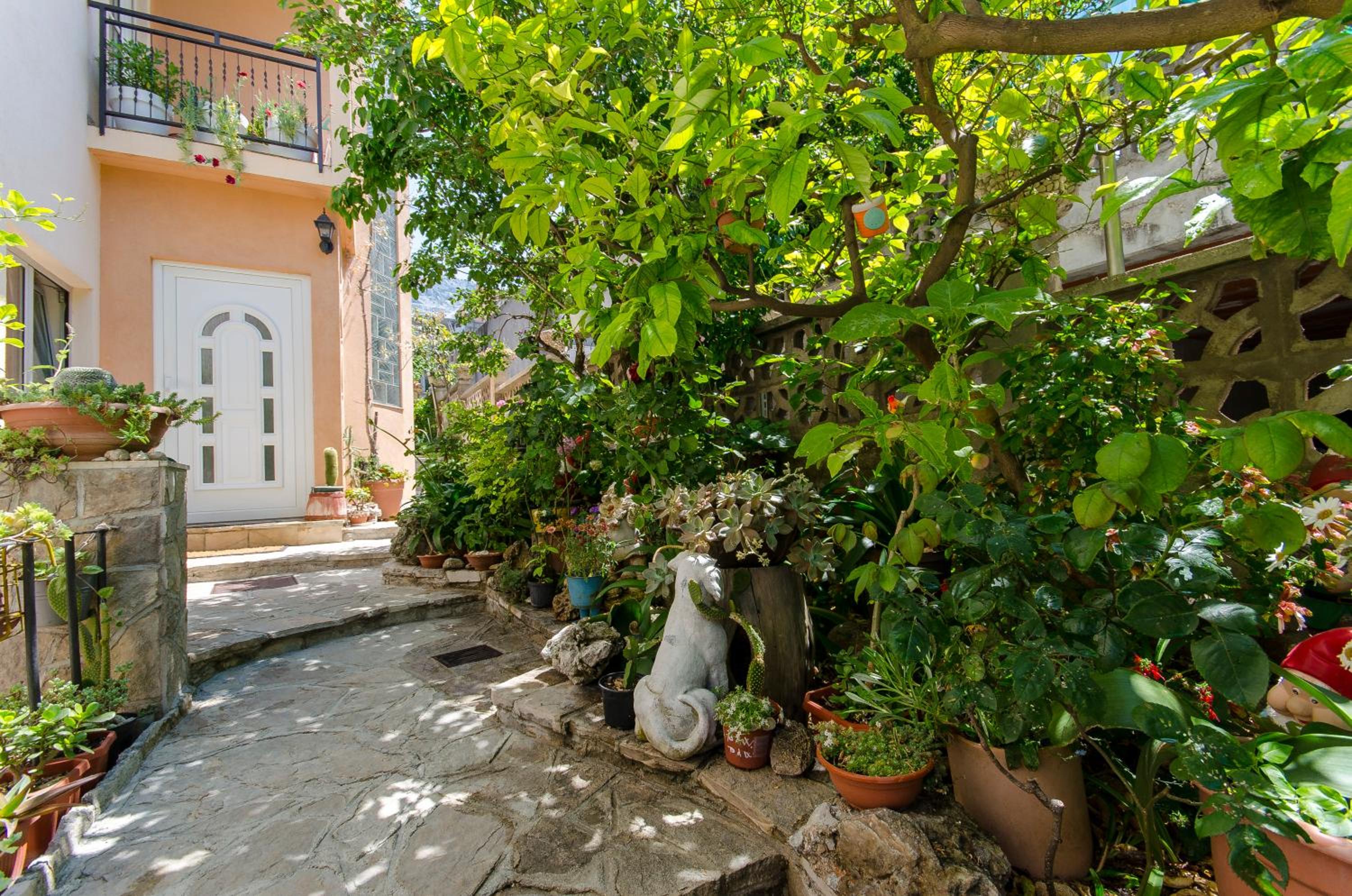 House Kovacevic