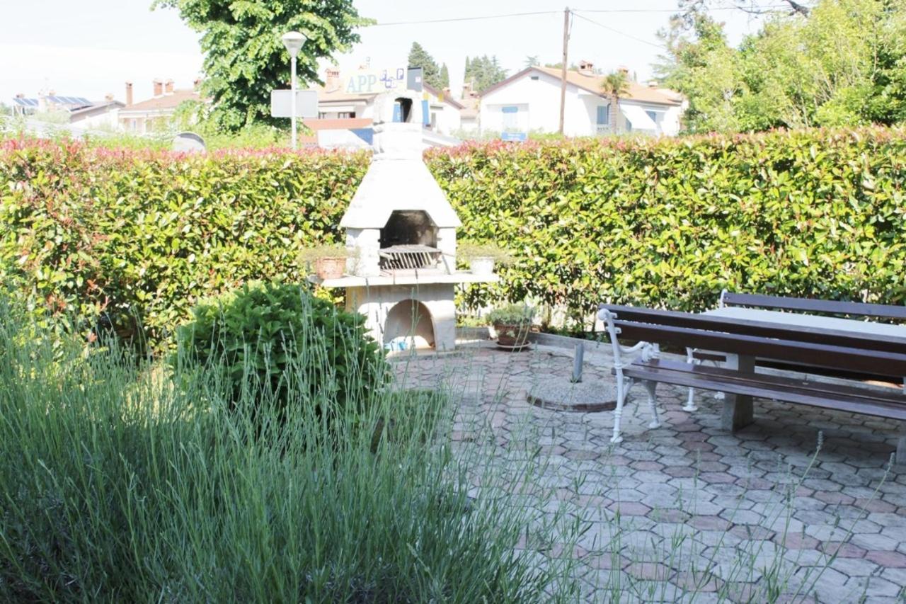 Photo 23