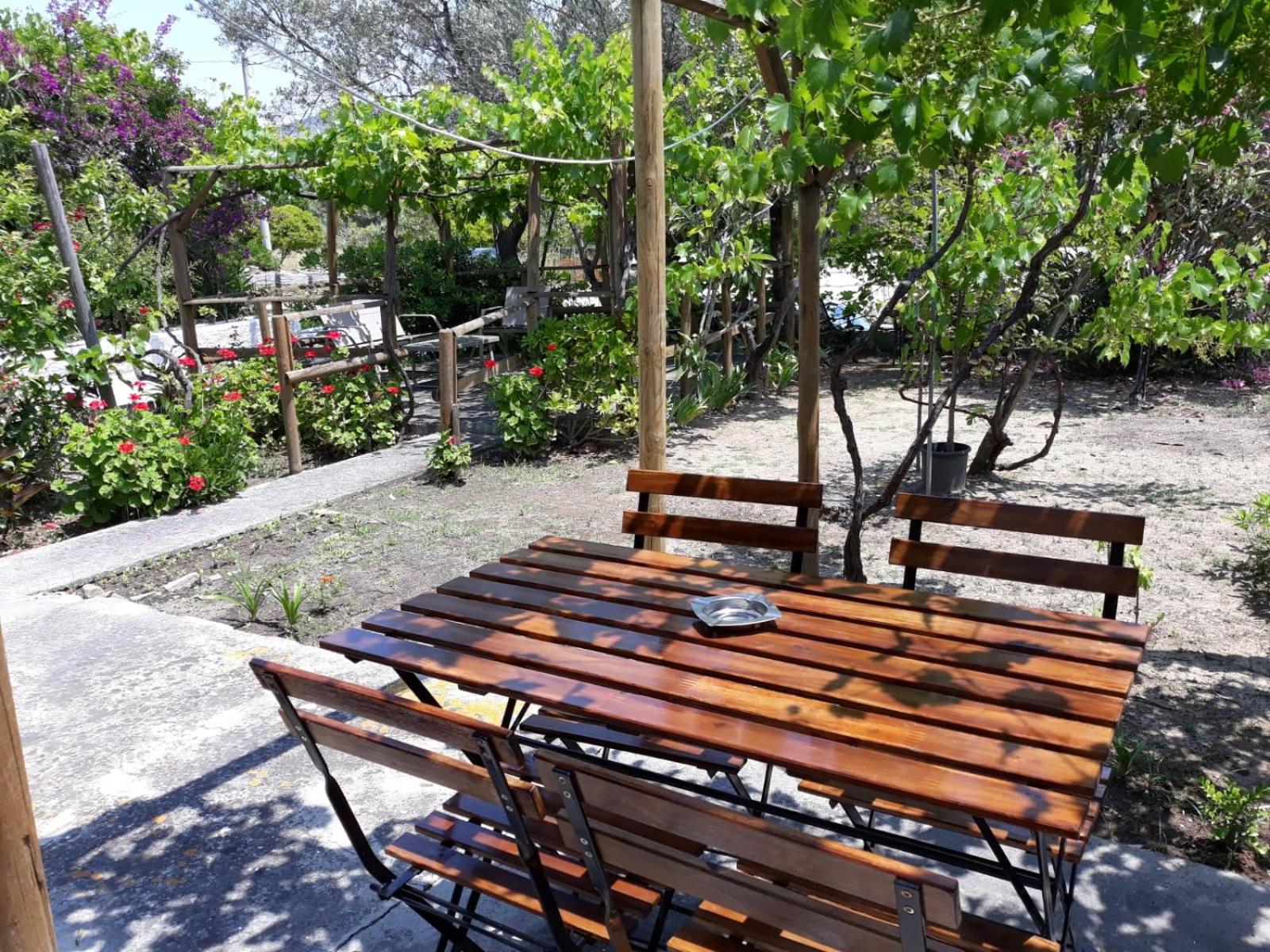 Arena Vacanze view 3
