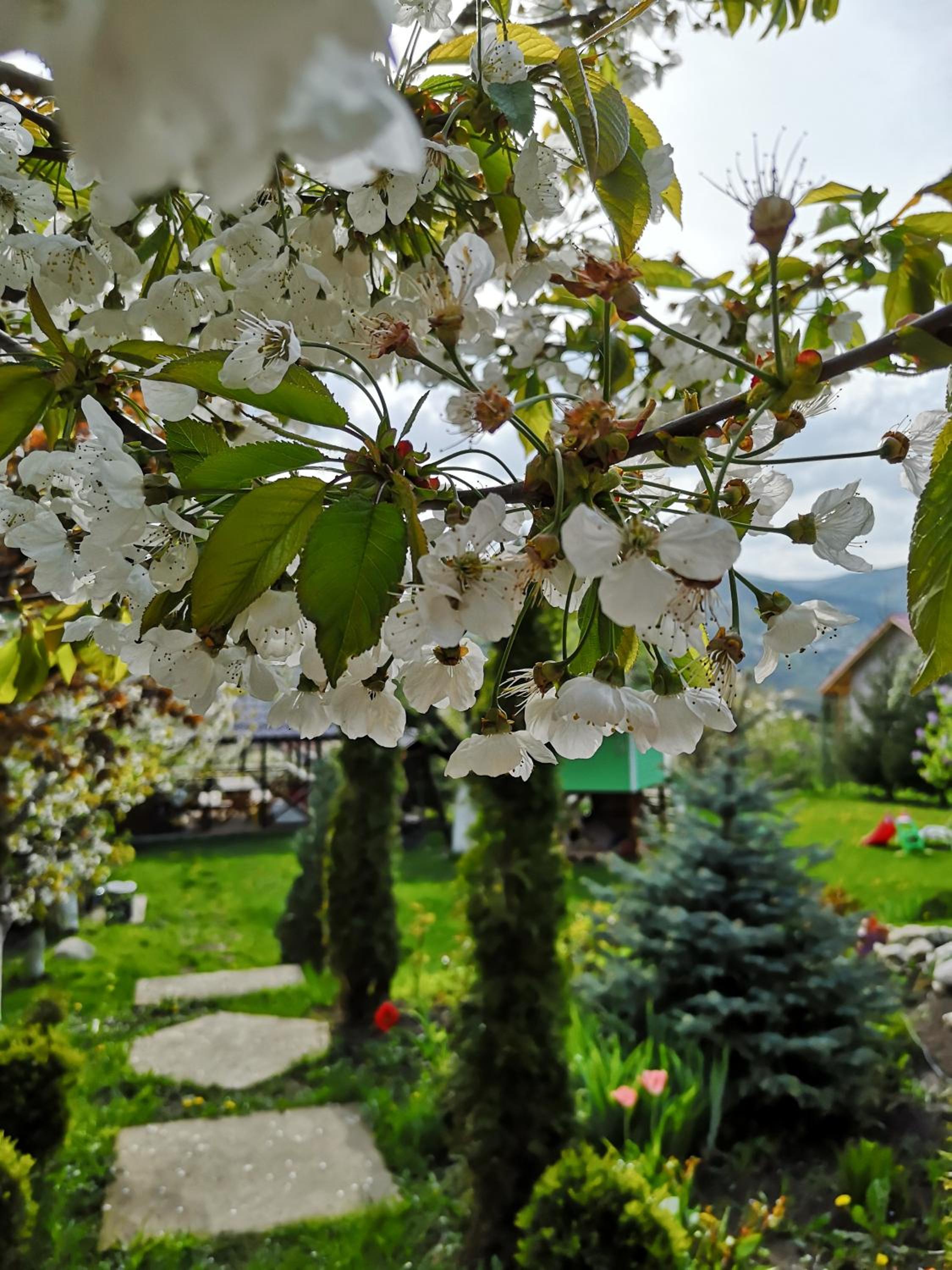 Photo 42