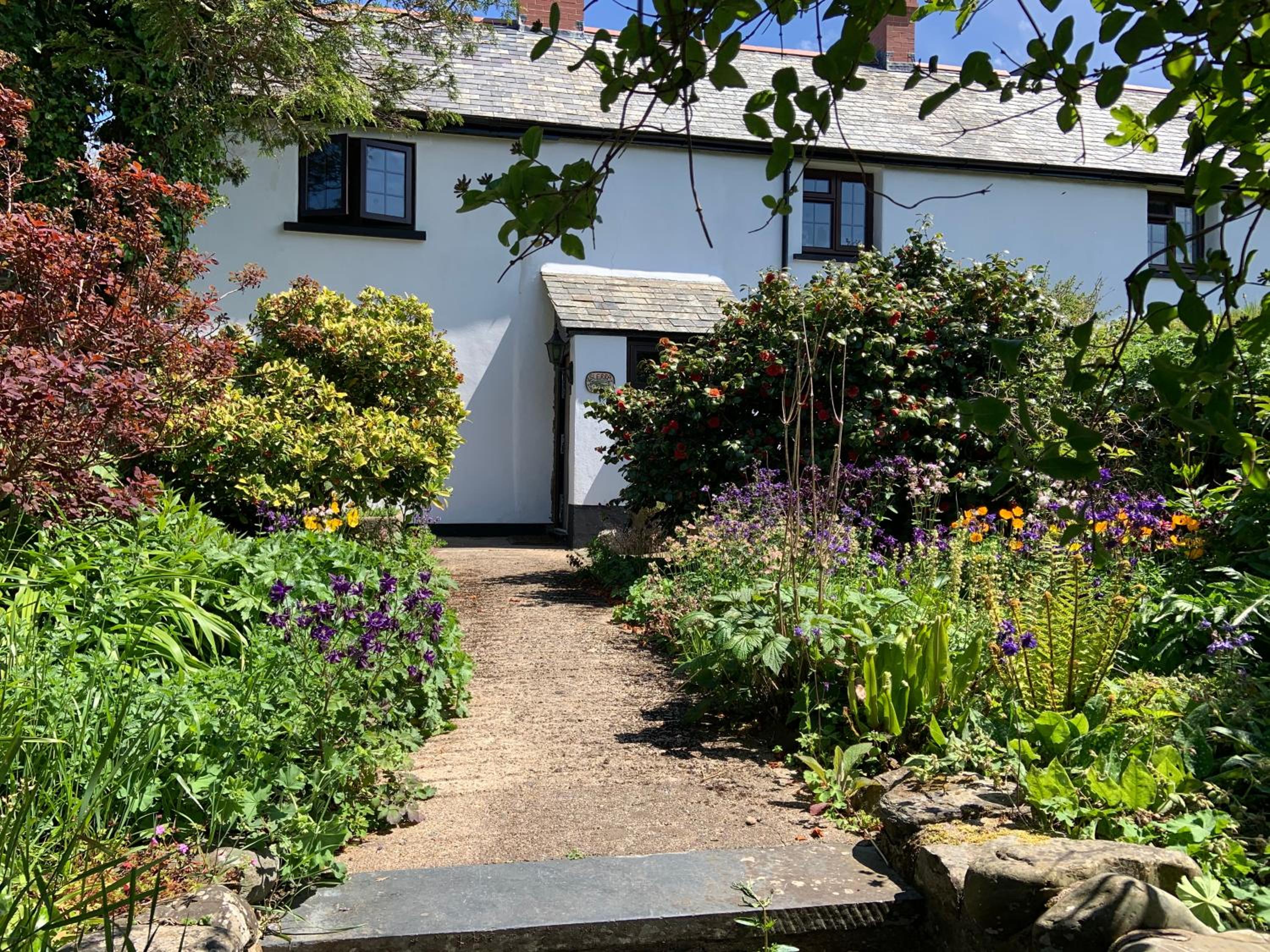 Slerra Hill Bed and Breakfast, Clovelly view 5
