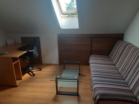 Aleksa apartman view 5