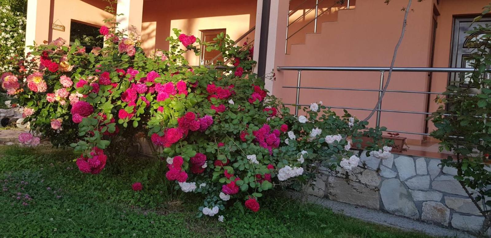 Photo 38