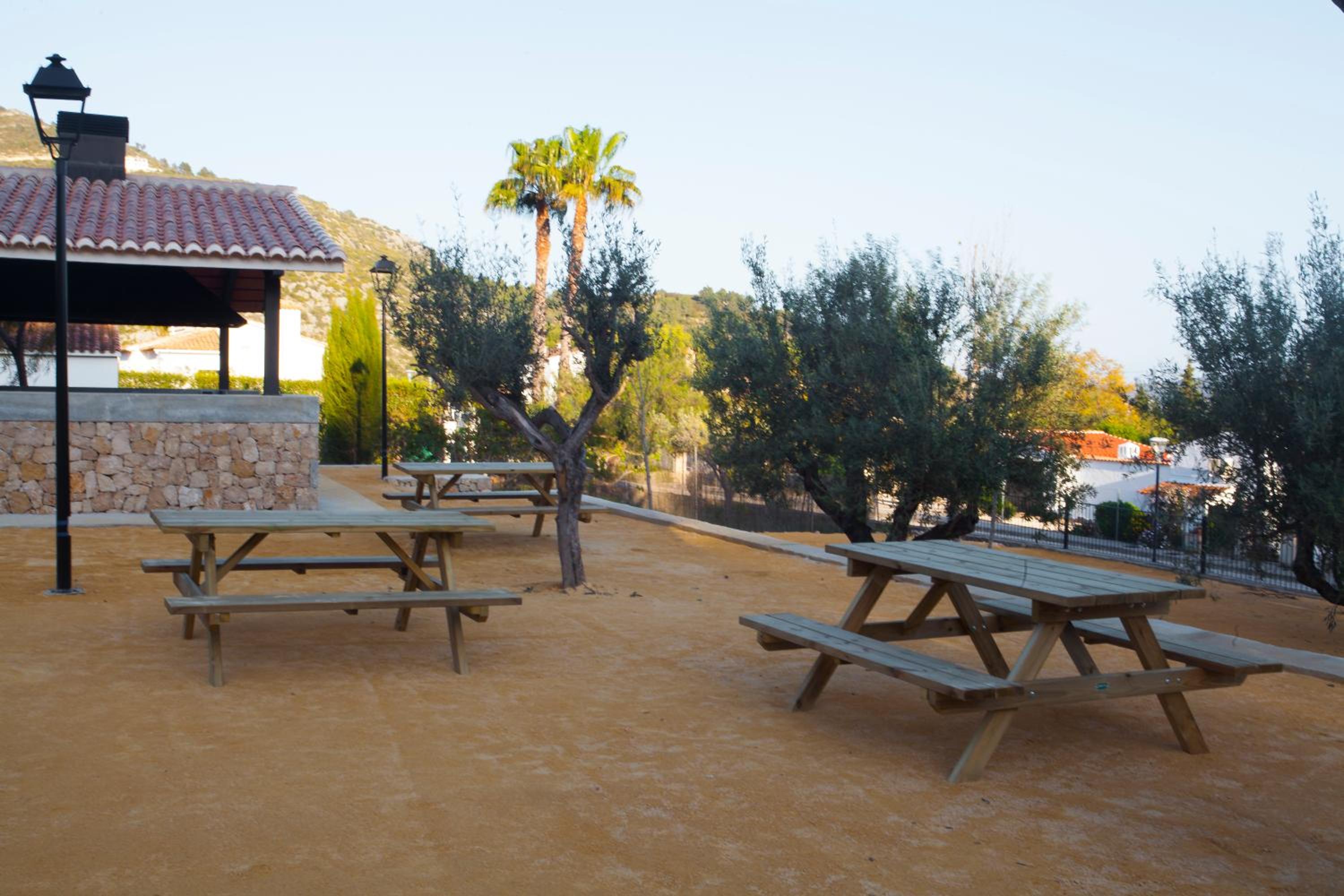 Photo 42