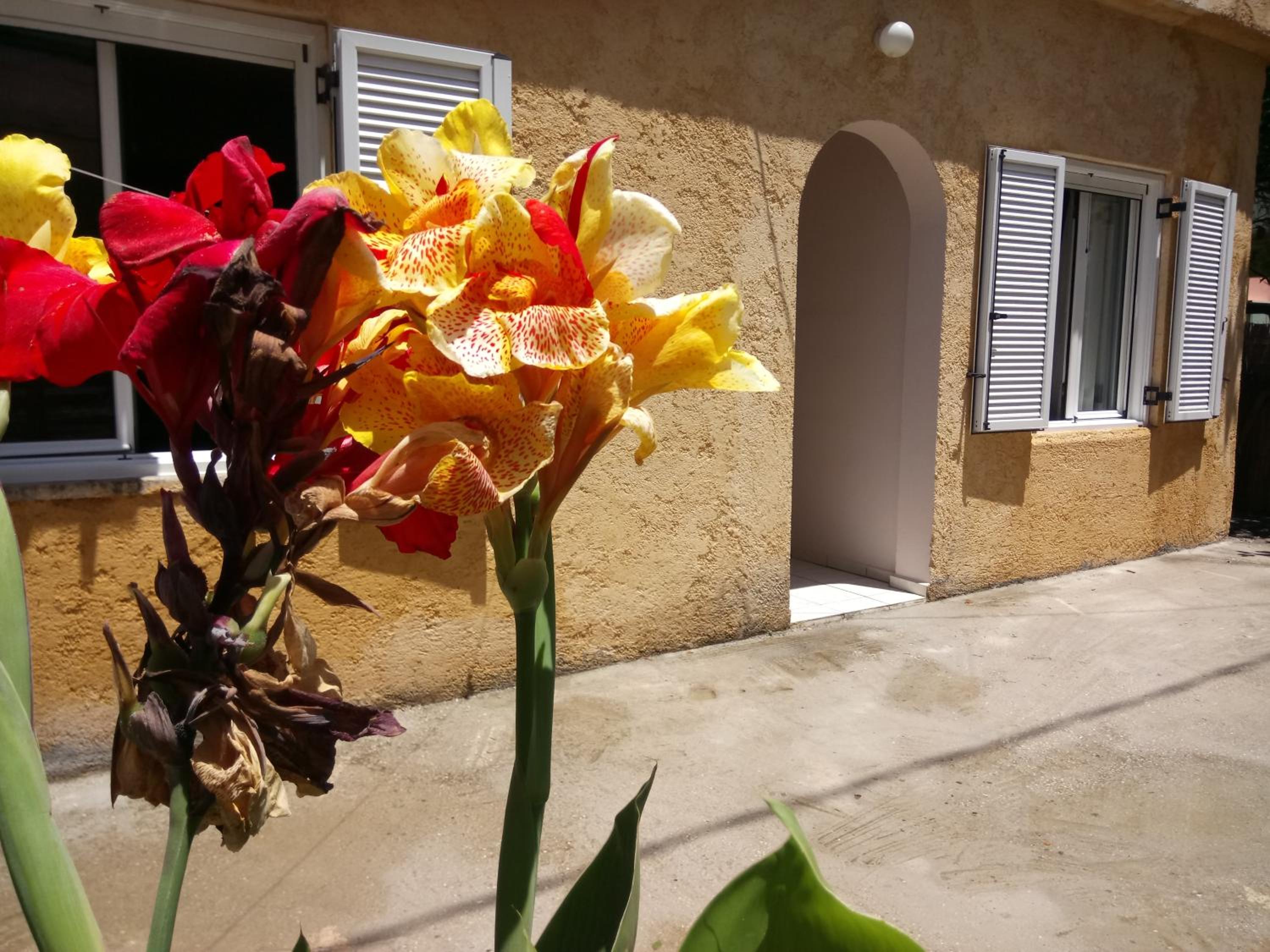 Sitzanaki Home