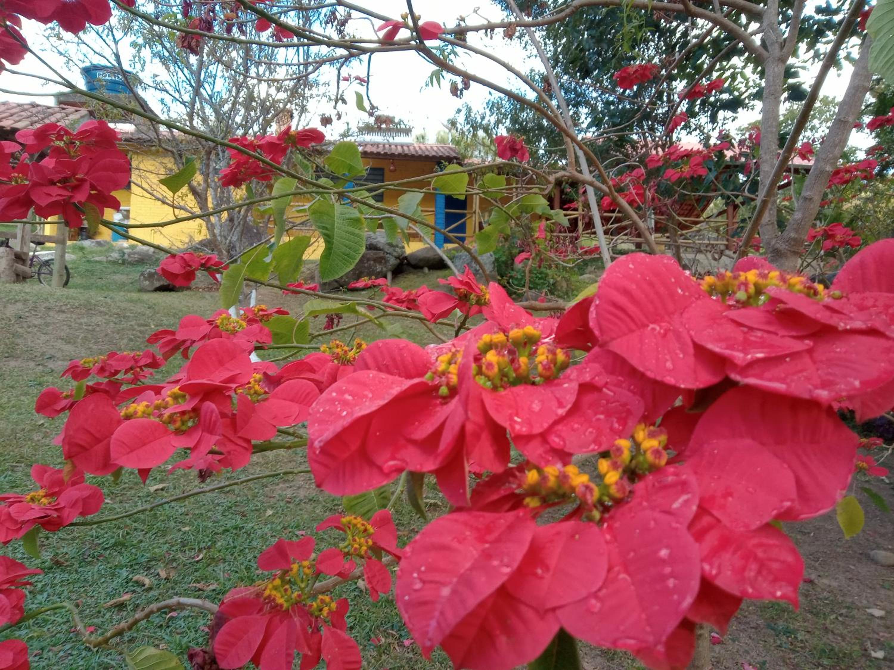 Rancho Pedra Preta